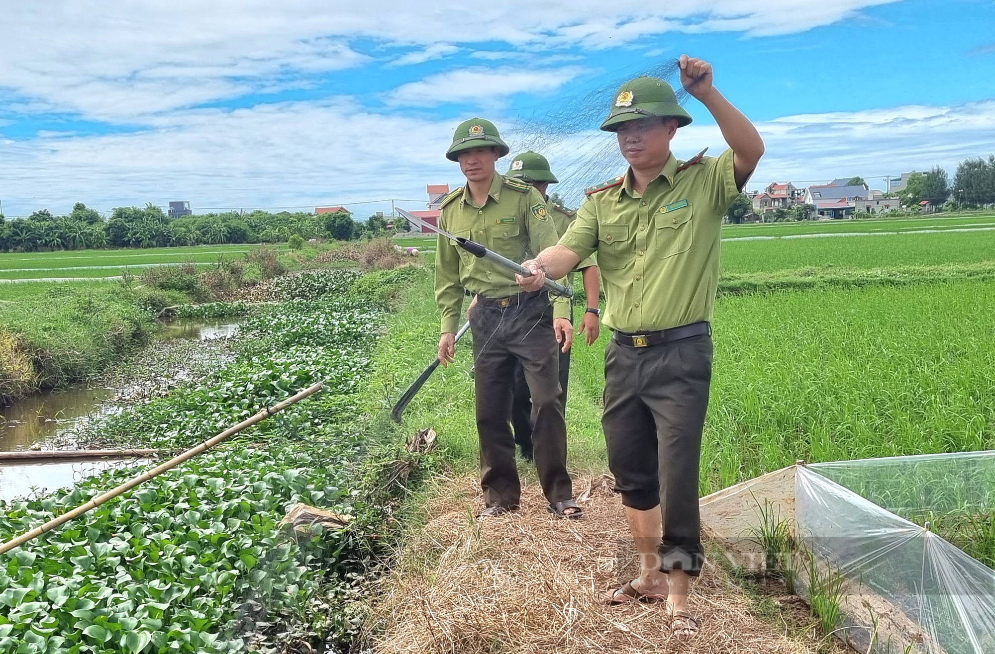 Ninh Bình: Liên tiếp tiêu hủy hàng trăm mét lưới, bộ loa âm ly dụ tiếng chim hoang dã sau phản ánh của Dân Việt - Ảnh 5.