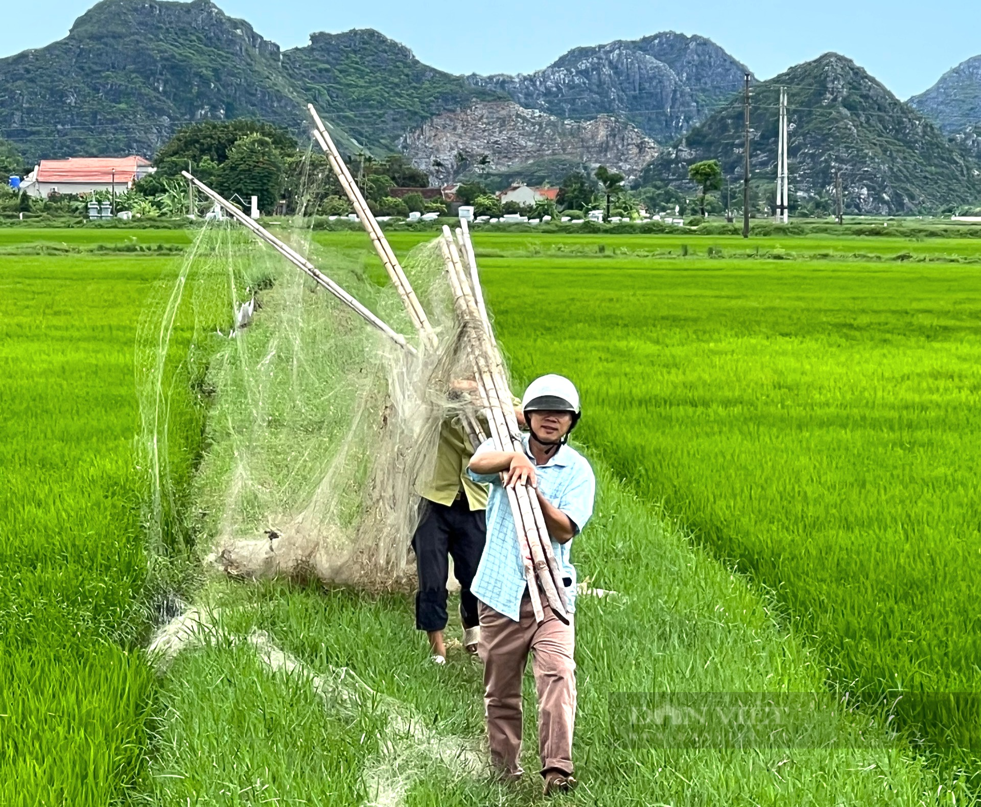 Ninh Bình: Liên tiếp tiêu hủy hàng trăm mét lưới, bộ loa âm ly dụ tiếng chim hoang dã sau phản ánh của Dân Việt - Ảnh 8.