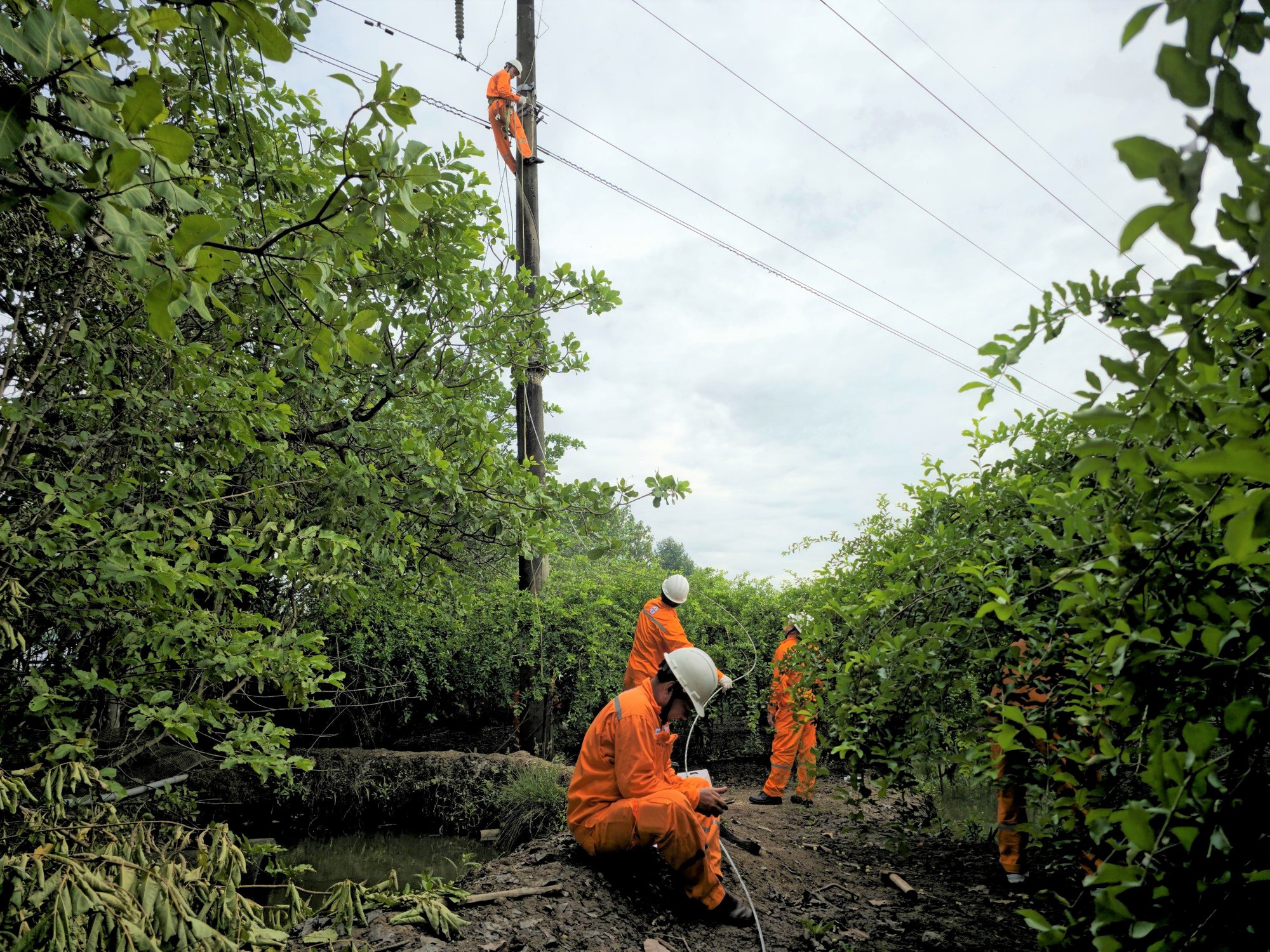 Tổng công ty Điện lực miền Nam: Chủ động ứng phó, đảm bảo cung cấp điện mùa mưa bão - Ảnh 2.