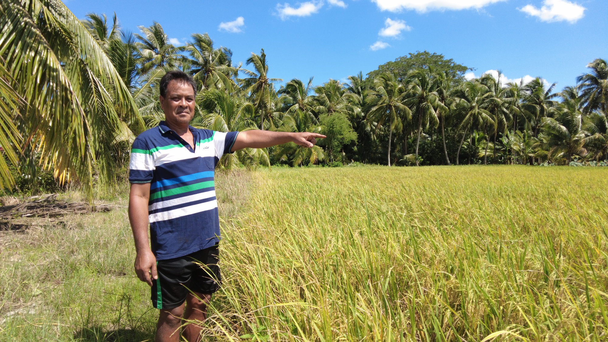 Cách để có đến 6 ha lúa và sắm 10 máy gặt đập liên hợp ở Trà Vinh của Nông dân xuất sắc 2023  - Ảnh 3.