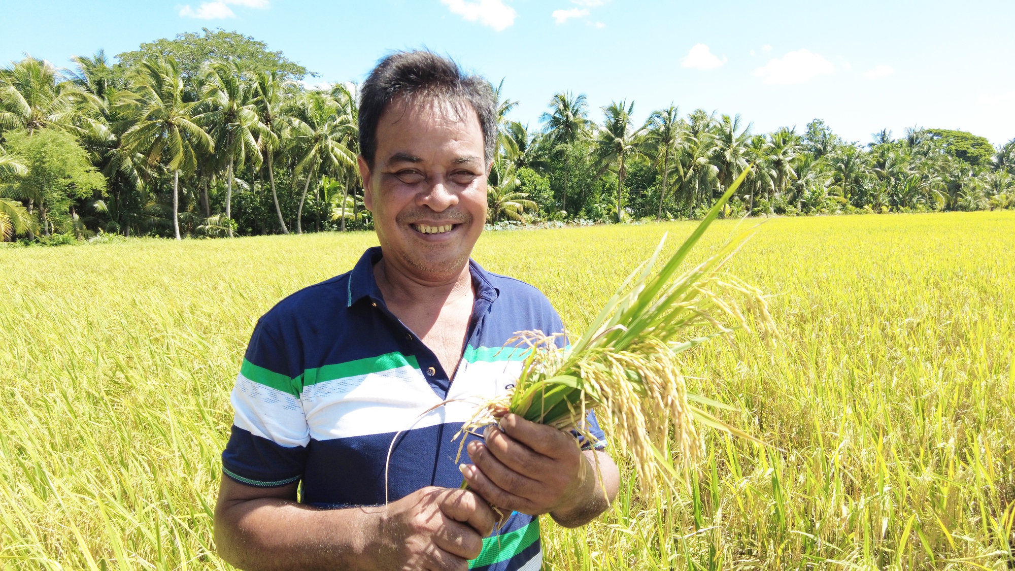 Cách để có đến 6 ha lúa và sắm 10 máy gặt đập liên hợp ở Trà Vinh của Nông dân xuất sắc 2023  - Ảnh 1.
