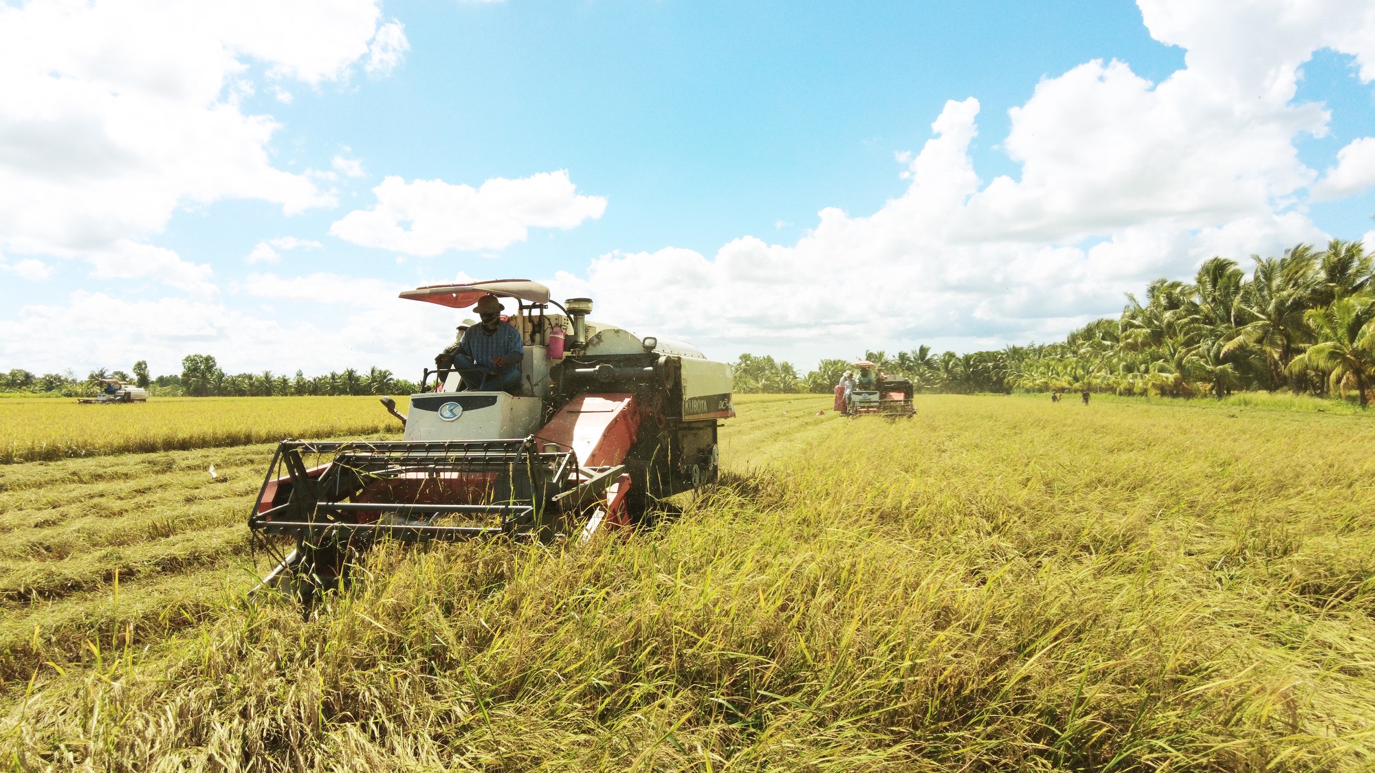 Cách để có đến 6 ha lúa và sắm 10 máy gặt đập liên hợp ở Trà Vinh của Nông dân xuất sắc 2023  - Ảnh 2.
