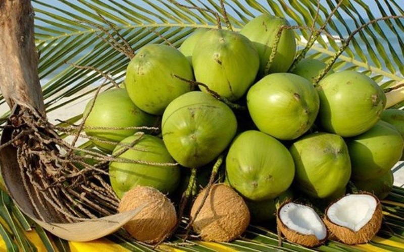 Mỹ thông báo có thể ‘ngay lập tức’ nhập khẩu dừa non Việt Nam - Ảnh 1.