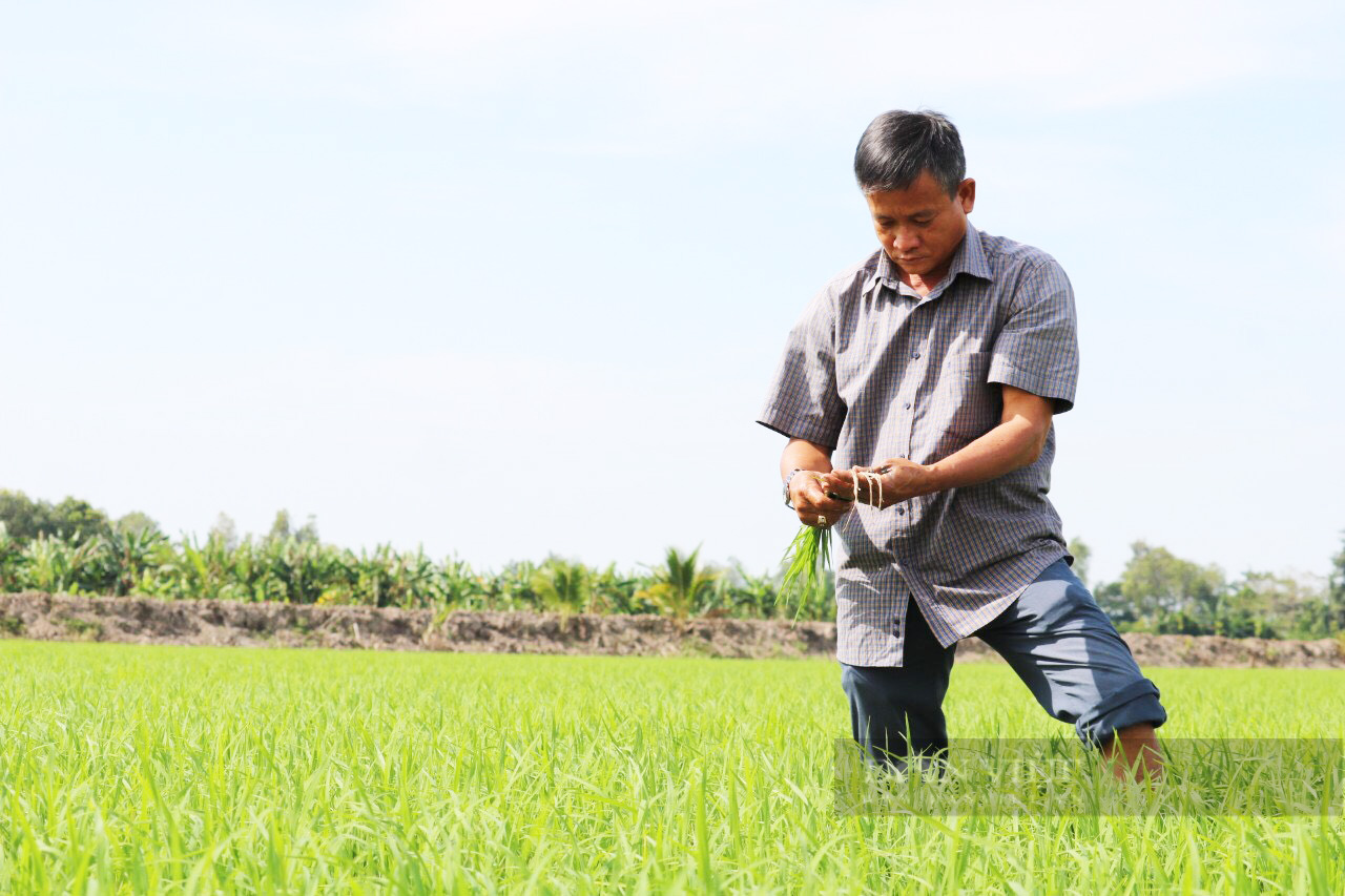 Hiệp hội Lương thực Việt Nam kiến nghị Thủ tướng Chính phủ bổ sung cơ chế quy định giá sàn xuất khẩu gạo - Ảnh 2.