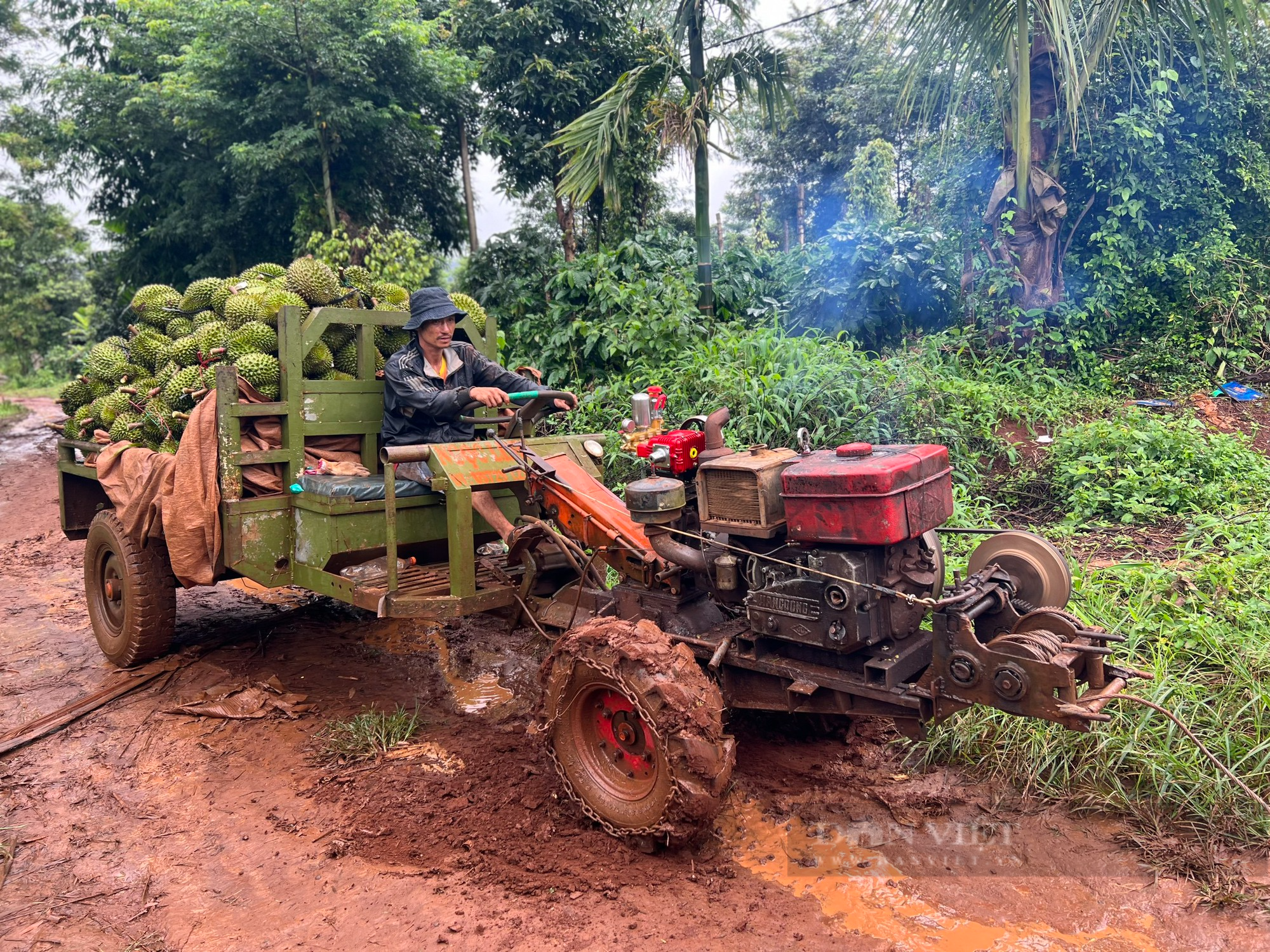 Mùa mưa bão, người dân &quot;dở khóc dở cười&quot; vận chuyển sầu riêng - Ảnh 2.