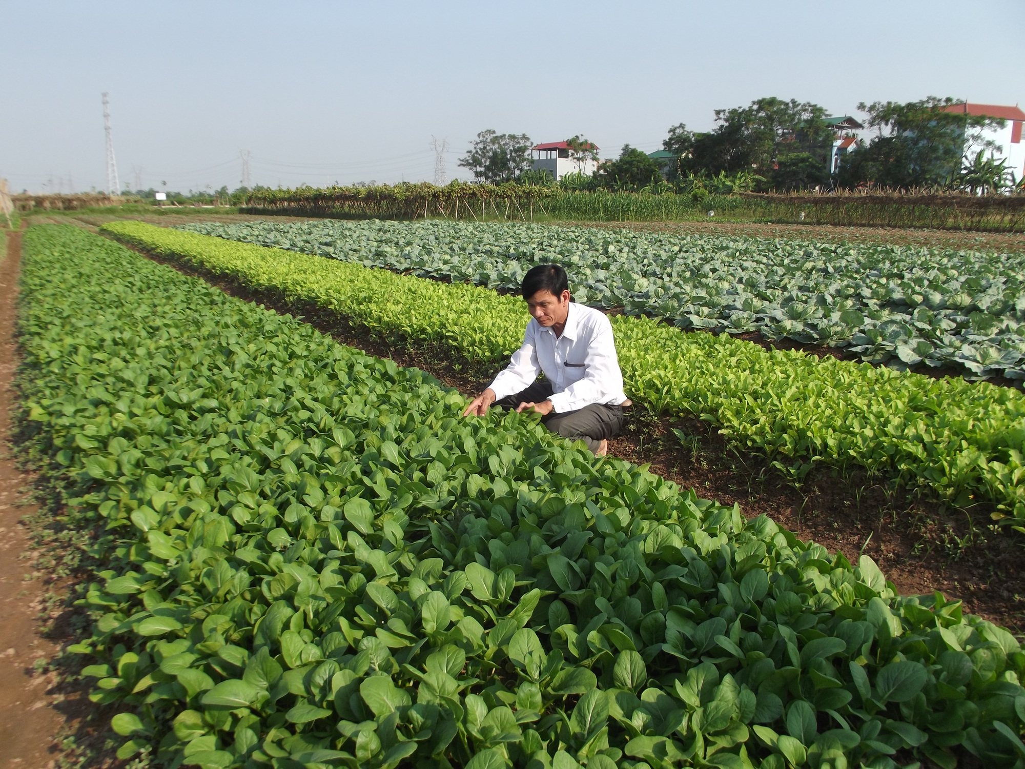 Nông dân Bắc Ninh phát triển nhiều mô hình hiệu quả từ vốn Quỹ HTND - Ảnh 1.