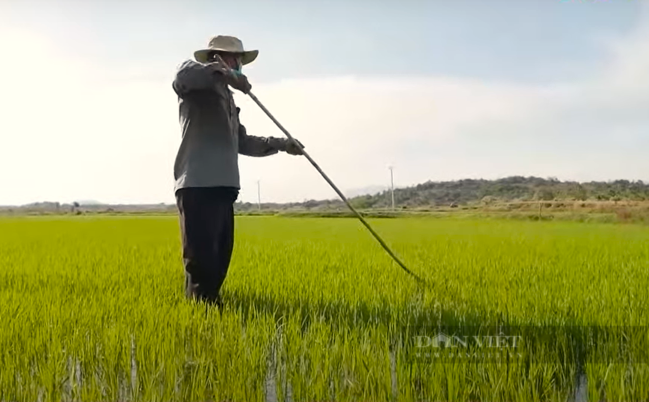 Hệ thống thủy lợi Tân Mỹ giải cơn khát cho chảo lửa Ninh Thuận - Ảnh 3.