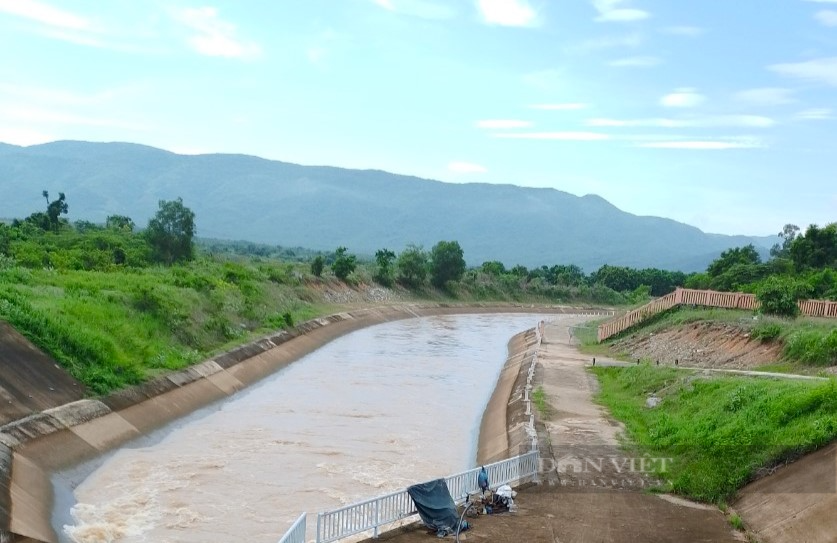 Hệ thống thủy lợi Tân Mỹ giải cơn khát cho chảo lửa Ninh Thuận - Ảnh 4.