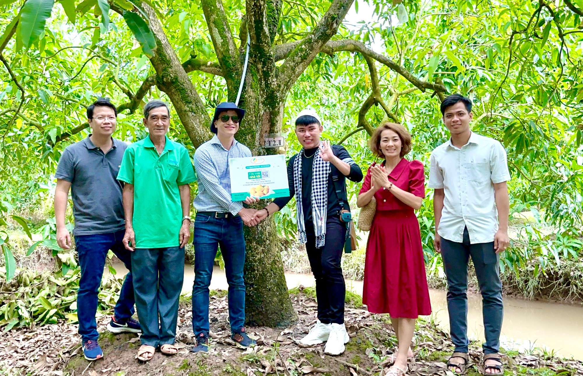 Mang 'cây xoài nhà tôi' lên nền tảng số, video của một thanh niên Đồng Tháp lên ngay top xu hướng - Ảnh 1.