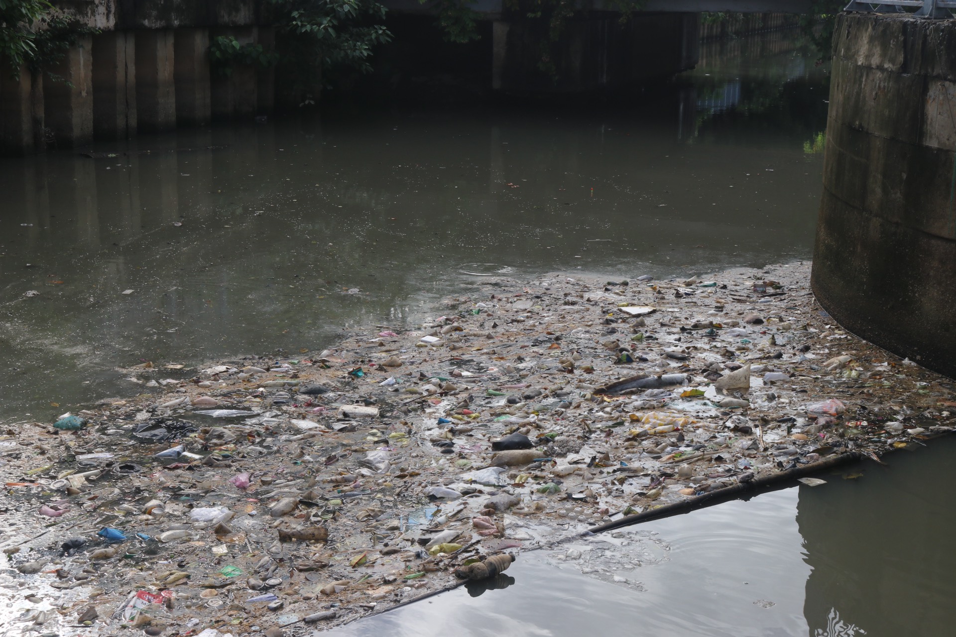 Sau mưa lớn, kênh Nhiêu Lộc - Thị Nghè đầy rác thải, xác động vật chết - Ảnh 2.