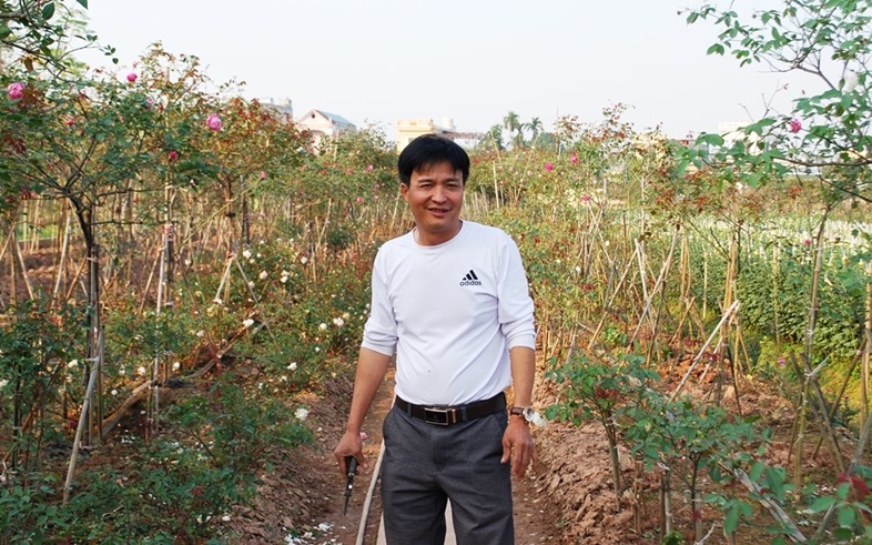 Một anh nông dân Hà Nam tự trả lương cao cho chính mình bằng trồng hoa hồng cổ Sa Pa vạn người mê