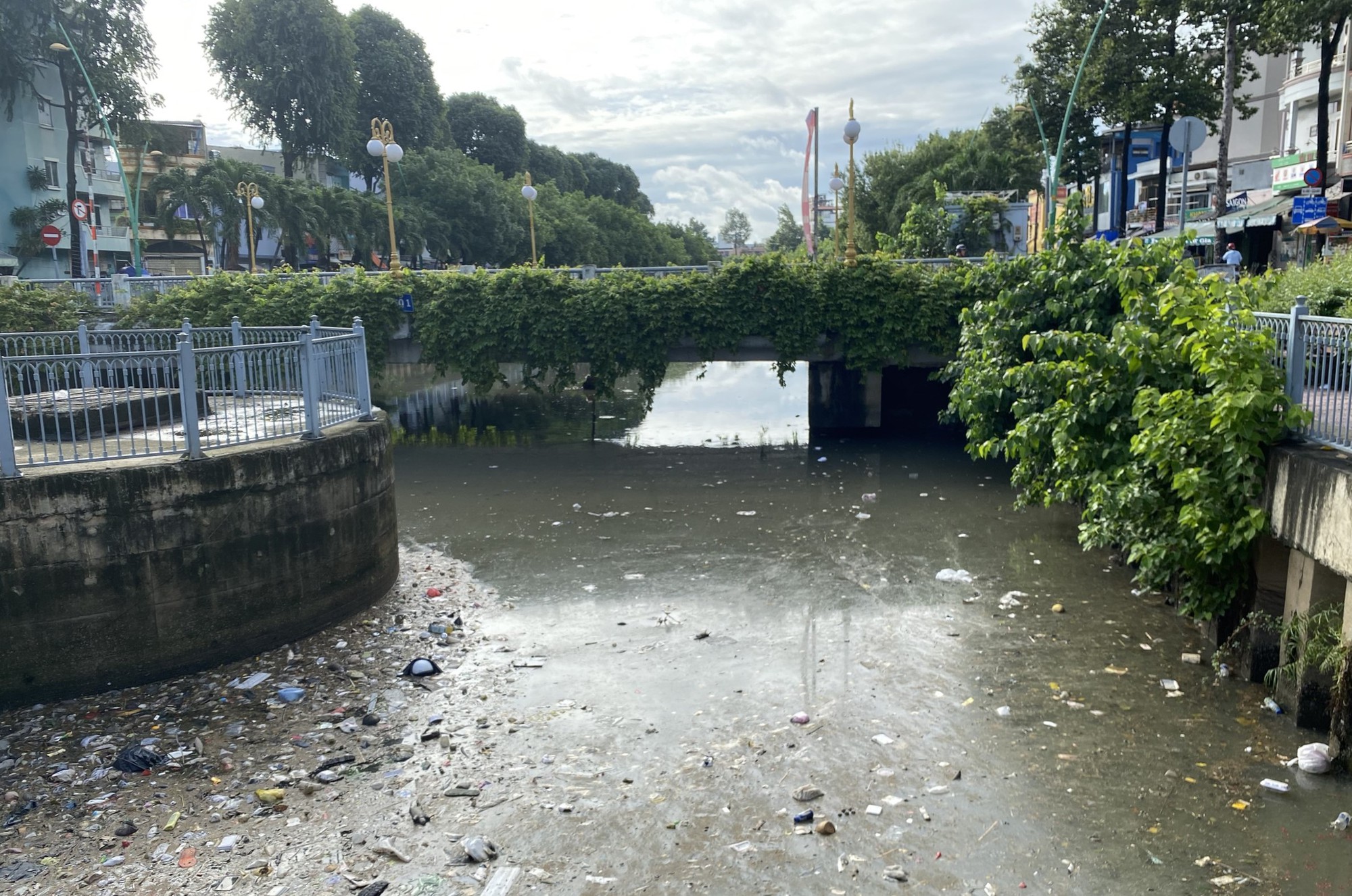 Sau mưa lớn, kênh Nhiêu Lộc - Thị Nghè đầy rác thải, xác động vật - Ảnh 1.