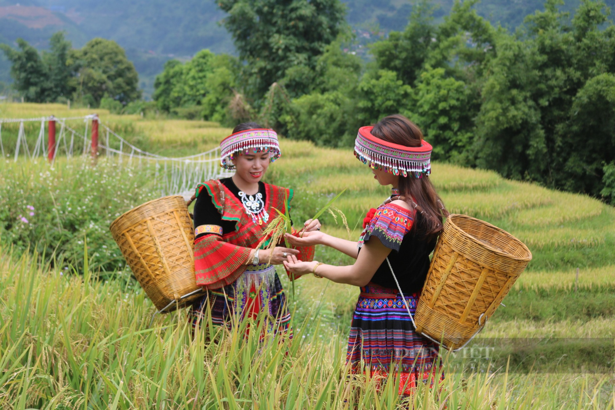 Mùa thu cực đẹp ở Sa Pa - Ảnh 2.