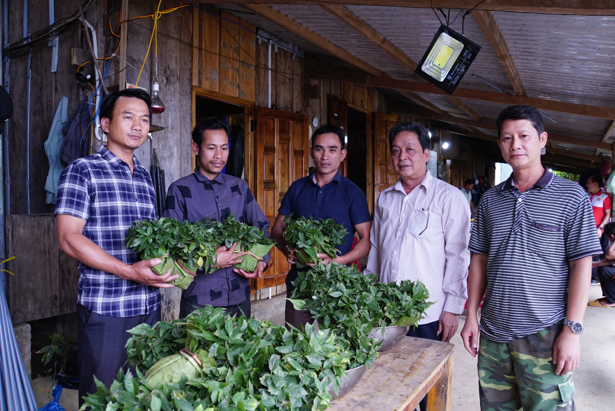  Quảng Nam thống nhất chấm dứt hoạt động dự án đầu tư nhà máy chế biến sâm và cây dược liệu  - Ảnh 3.