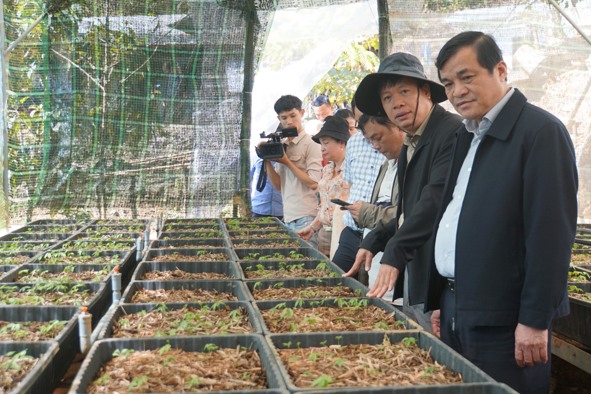  Quảng Nam thống nhất chấm dứt hoạt động dự án đầu tư nhà máy chế biến sâm và cây dược liệu  - Ảnh 1.