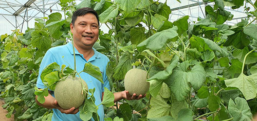 Hội Nông dân tỉnh Bình Thuận hỗ trợ nông dân ứng dụng chuyển đổi số trong sản xuất nông nghiệp - Ảnh 2.