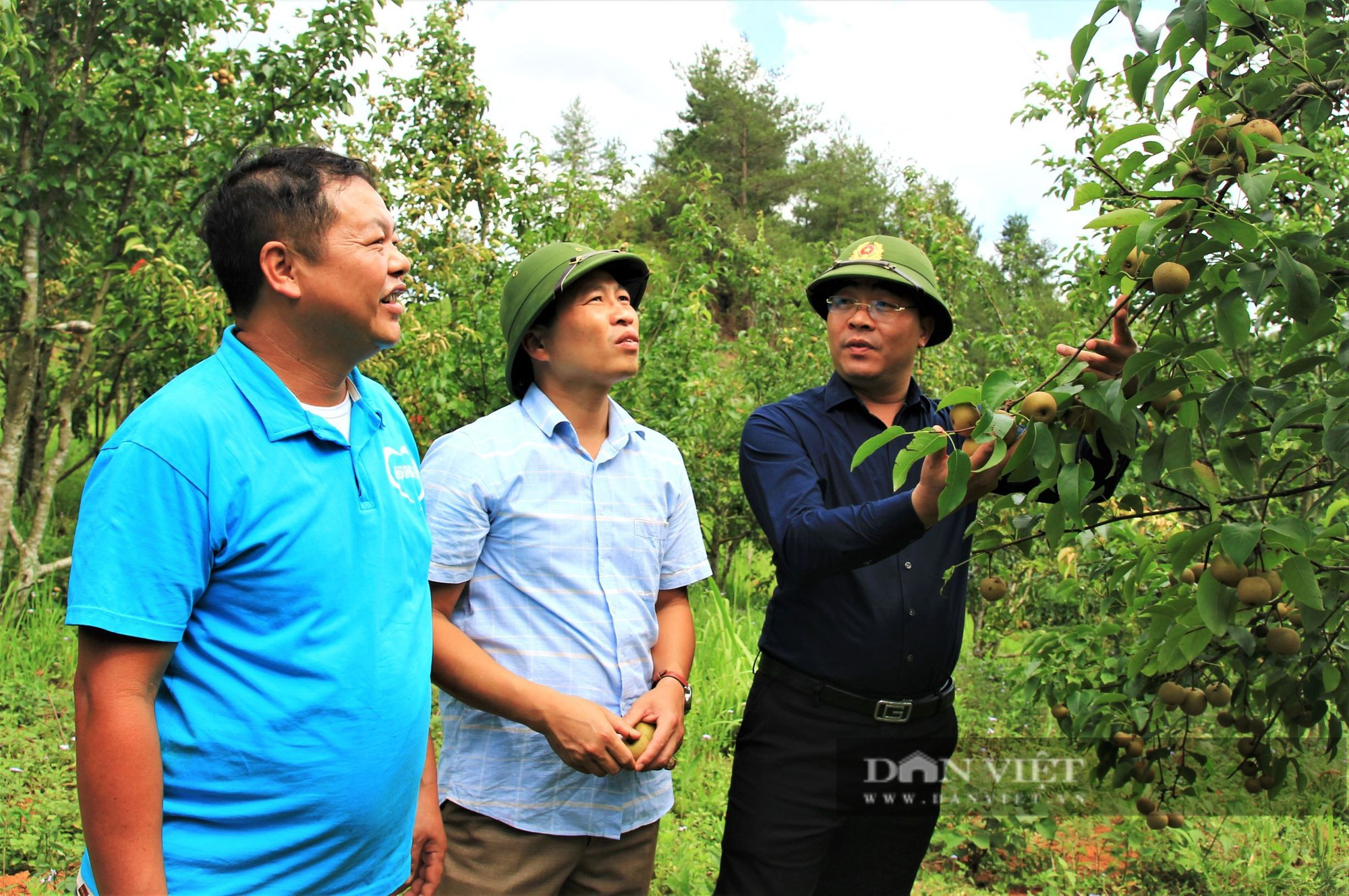 Bí thư huyện và câu chuyện đánh thức vùng đất khó - Ảnh 2.