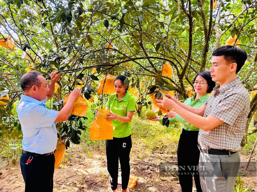 Nhiều hoạt động thiết thực chào mừng Đại hội đại biểu Hội Nông dân tỉnh Hà Tĩnh lần thứ X, nhiệm kỳ 2023 – 2028 - Ảnh 4.