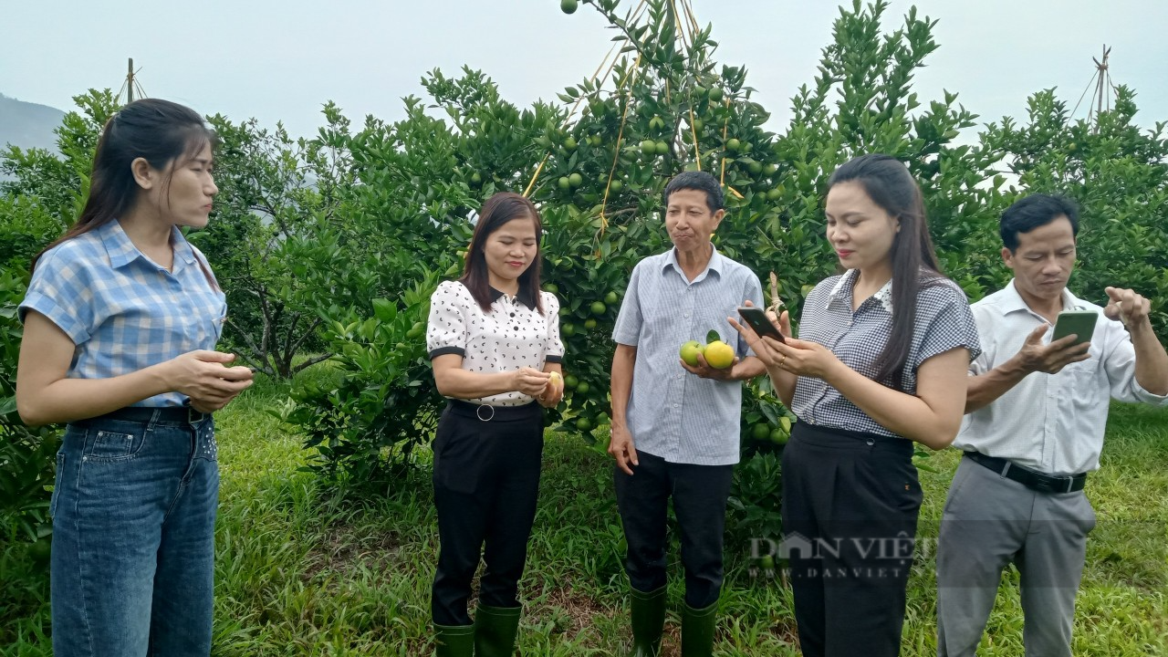 Nhiều hoạt động thiết thực chào mừng Đại hội đại biểu Hội Nông dân tỉnh Hà Tĩnh lần thứ X, nhiệm kỳ 2023 – 2028 - Ảnh 9.