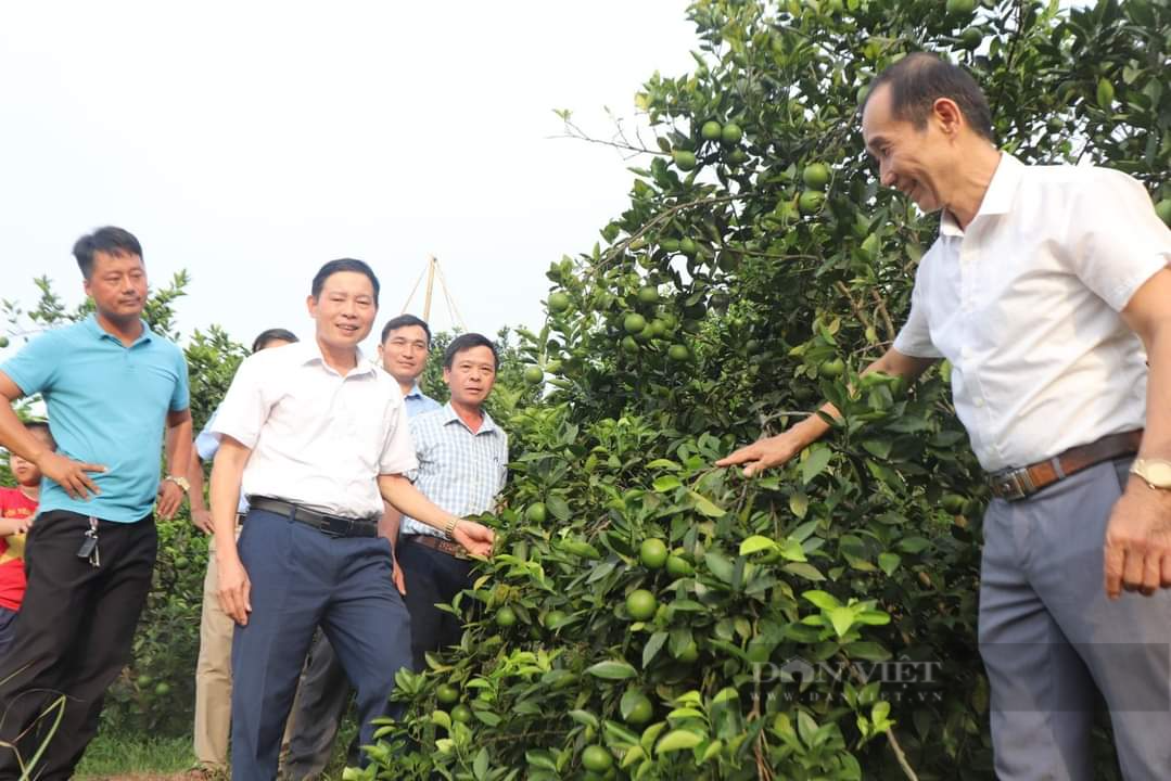 Nhiều hoạt động thiết thực chào mừng Đại hội đại biểu Hội Nông dân tỉnh Hà Tĩnh lần thứ X, nhiệm kỳ 2023 – 2028 - Ảnh 12.