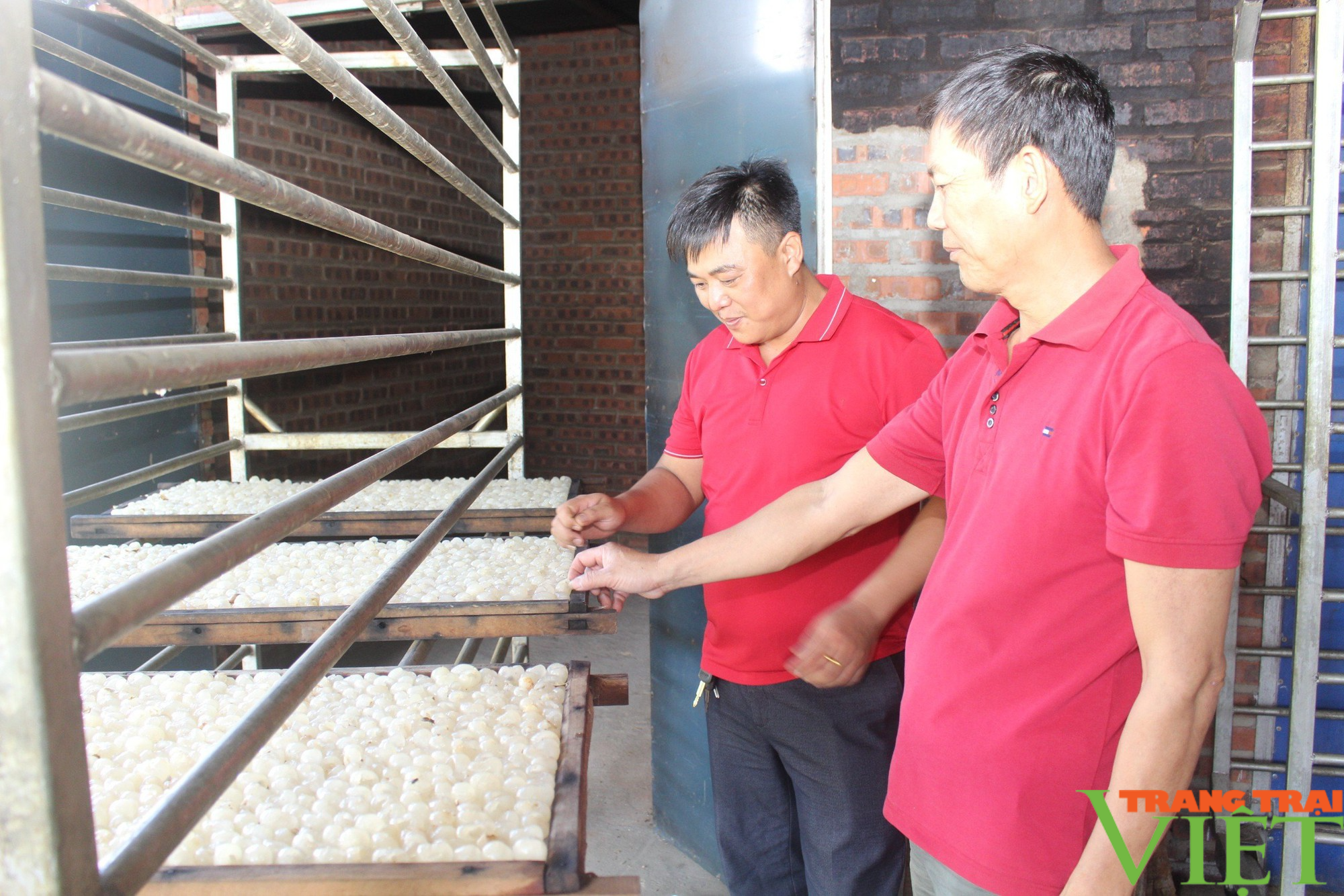 Huyện vùng biên của Sơn La thay đổi tư duy sản xuất nông nghiệp - Ảnh 3.