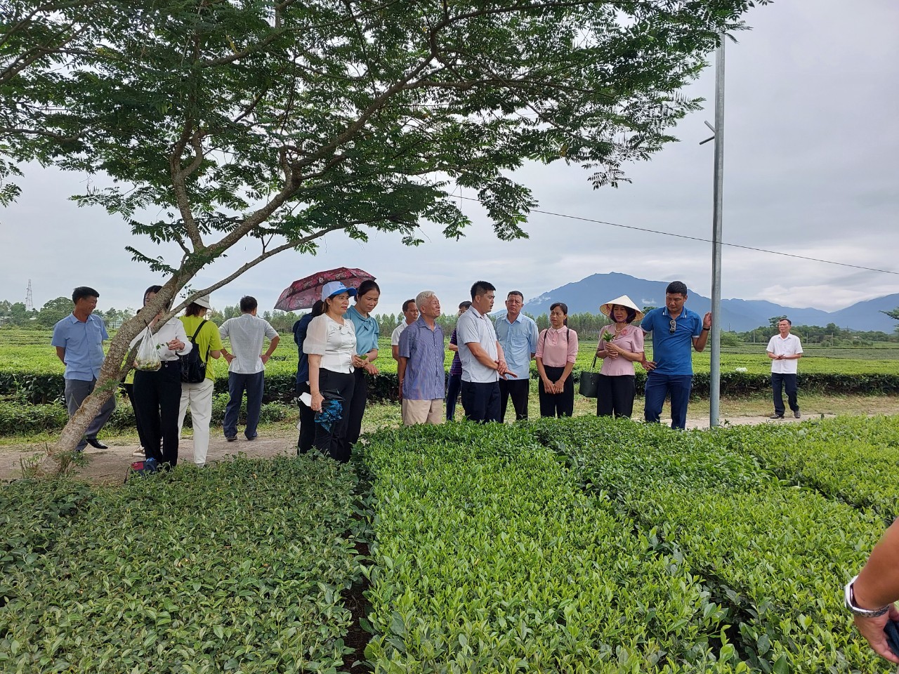 Nông dân Quảng Yên (Quảng Ninh) khẳng định vị thế, góp phần hoàn thành xây dựng nông thôn mới  - Ảnh 3.