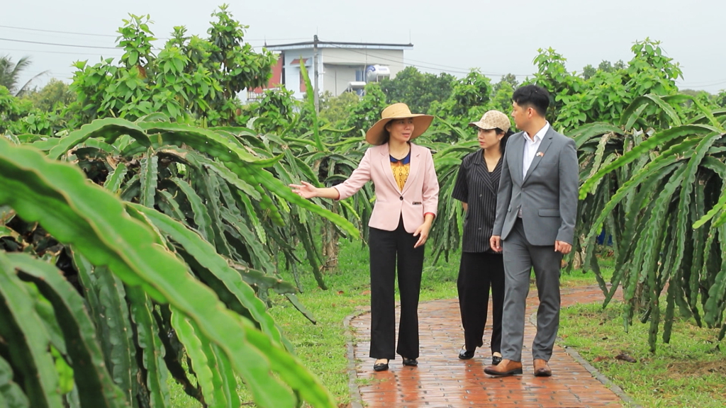 Du lịch miệt vườn, hướng đi mới mang hiệu quả cao của Đông Triều - Ảnh 2.