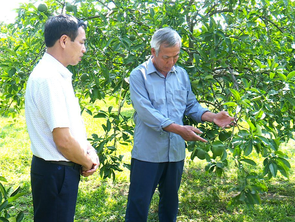 Lão nông đất Tổ nuôi lợn an toàn sinh học thu hơn 20 tỷ/năm là Nông dân Việt Nam xuất sắc 2023 - Ảnh 7.