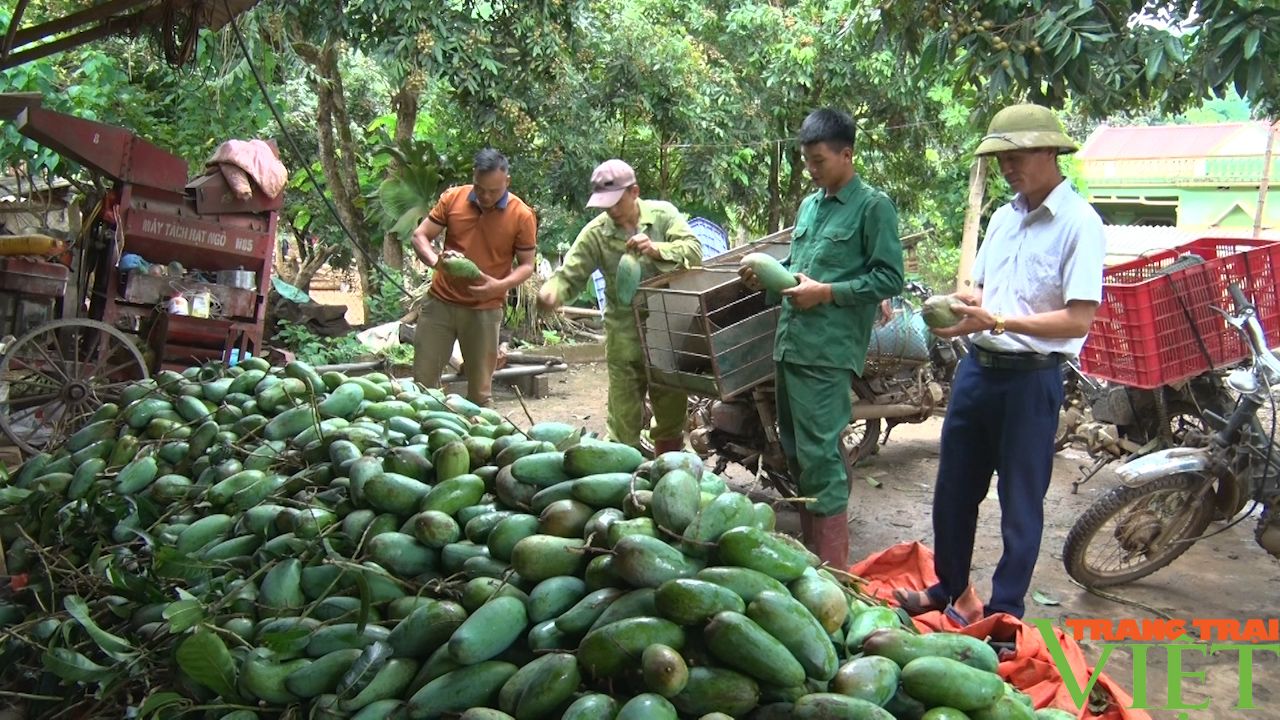 Cầm tay, chỉ việc cùng hội viên nông dân phát triển sản xuất, nâng cao thu nhập - Ảnh 3.