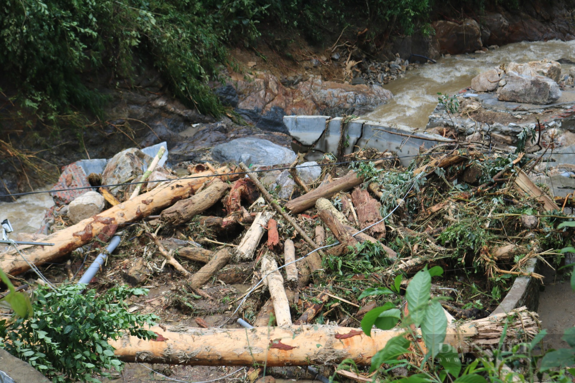 Lào Cai: Công bố tình huống khẩn cấp về thiên tai mưa, lũ, sạt lở ở Sa Pa - Ảnh 1.