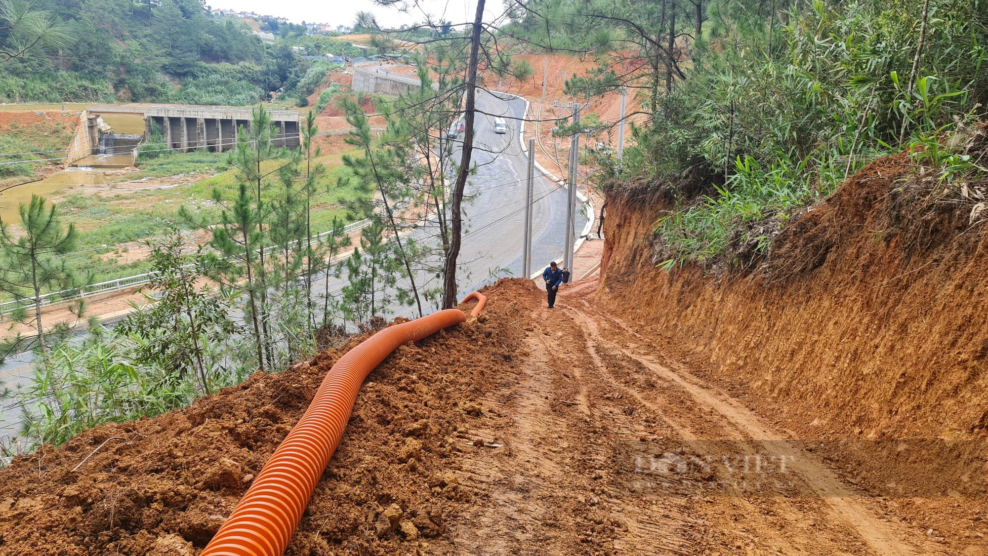 Doanh nghiệp bất chấp mở đường không phép vào Khu du lịch quốc gia hồ Tuyền Lâm - Ảnh 2.