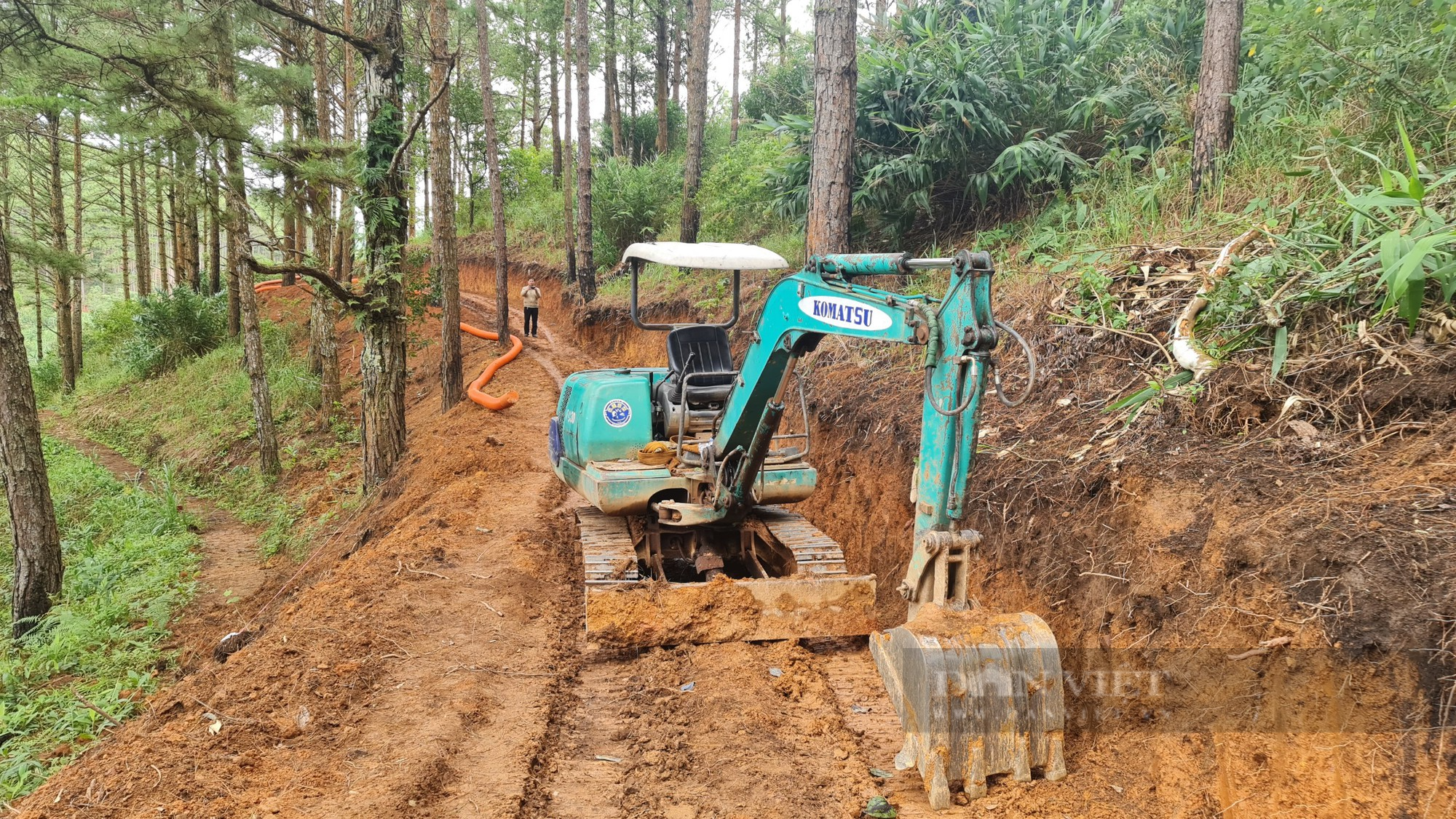 Doanh nghiệp bất chấp mở đường không phép vào Khu du lịch quốc gia hồ Tuyền Lâm - Ảnh 5.