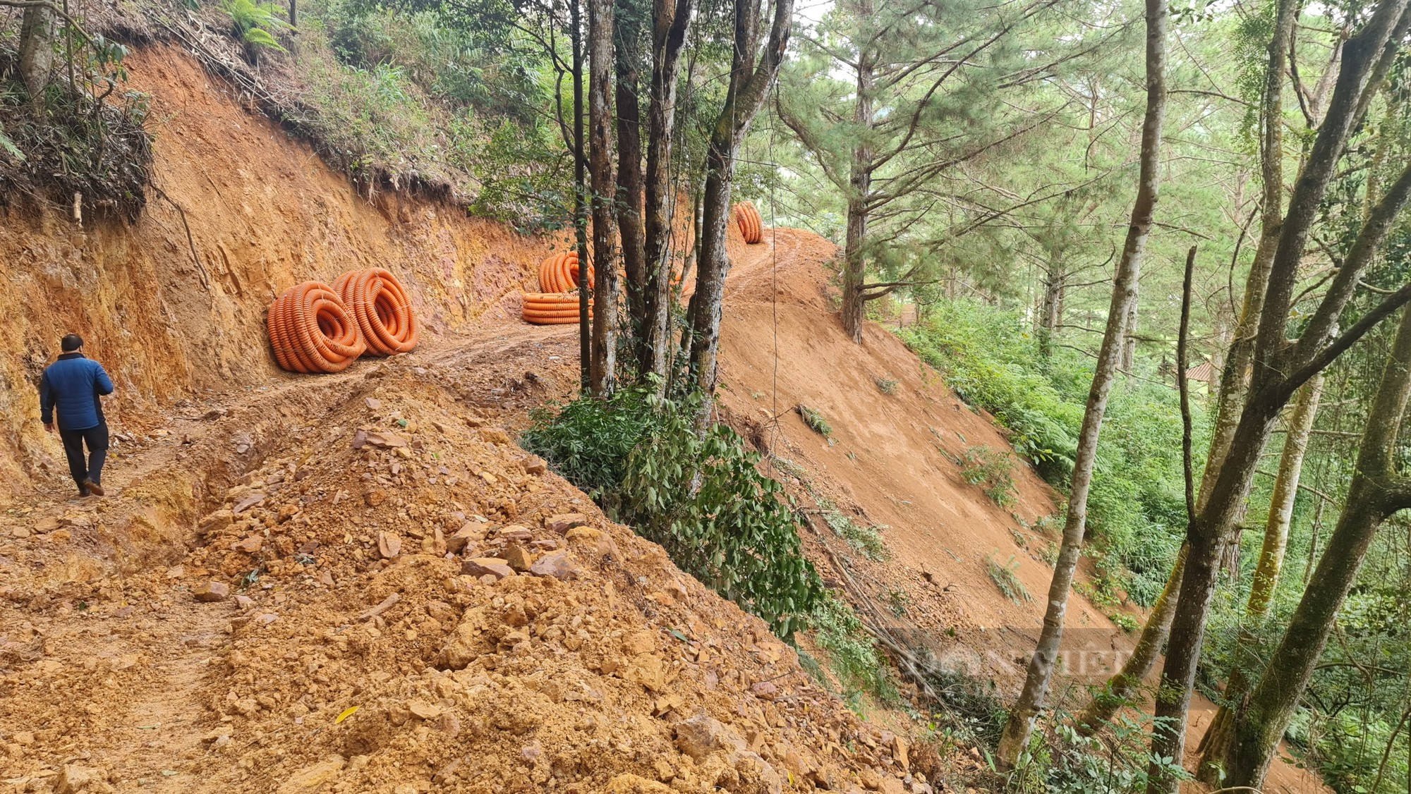 Doanh nghiệp bất chấp mở đường không phép vào Khu du lịch quốc gia hồ Tuyền Lâm - Ảnh 6.