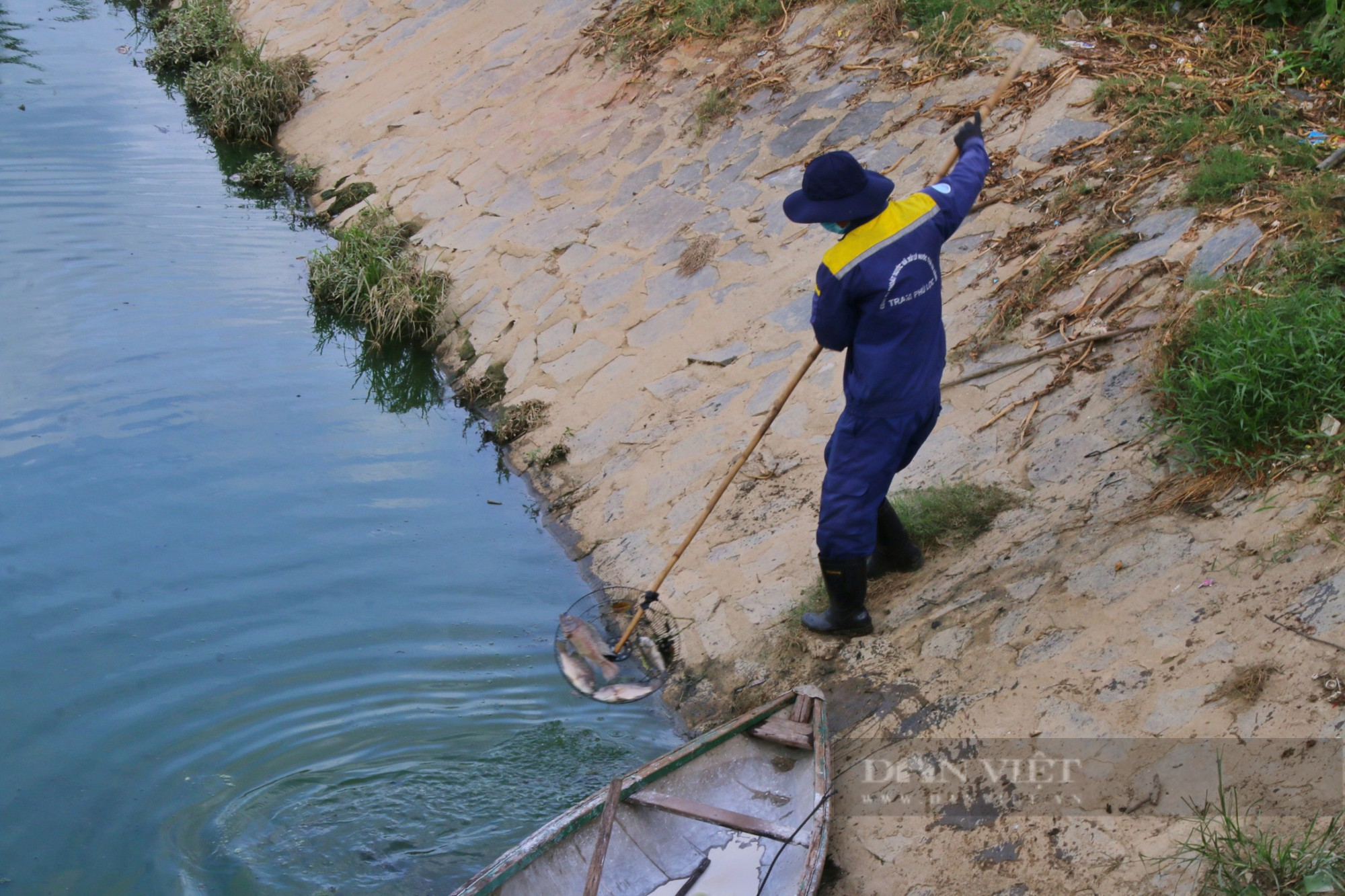 Kinh hoàng hàng tấn cá chết nổi trắng kênh Đà Nẵng - Ảnh 6.