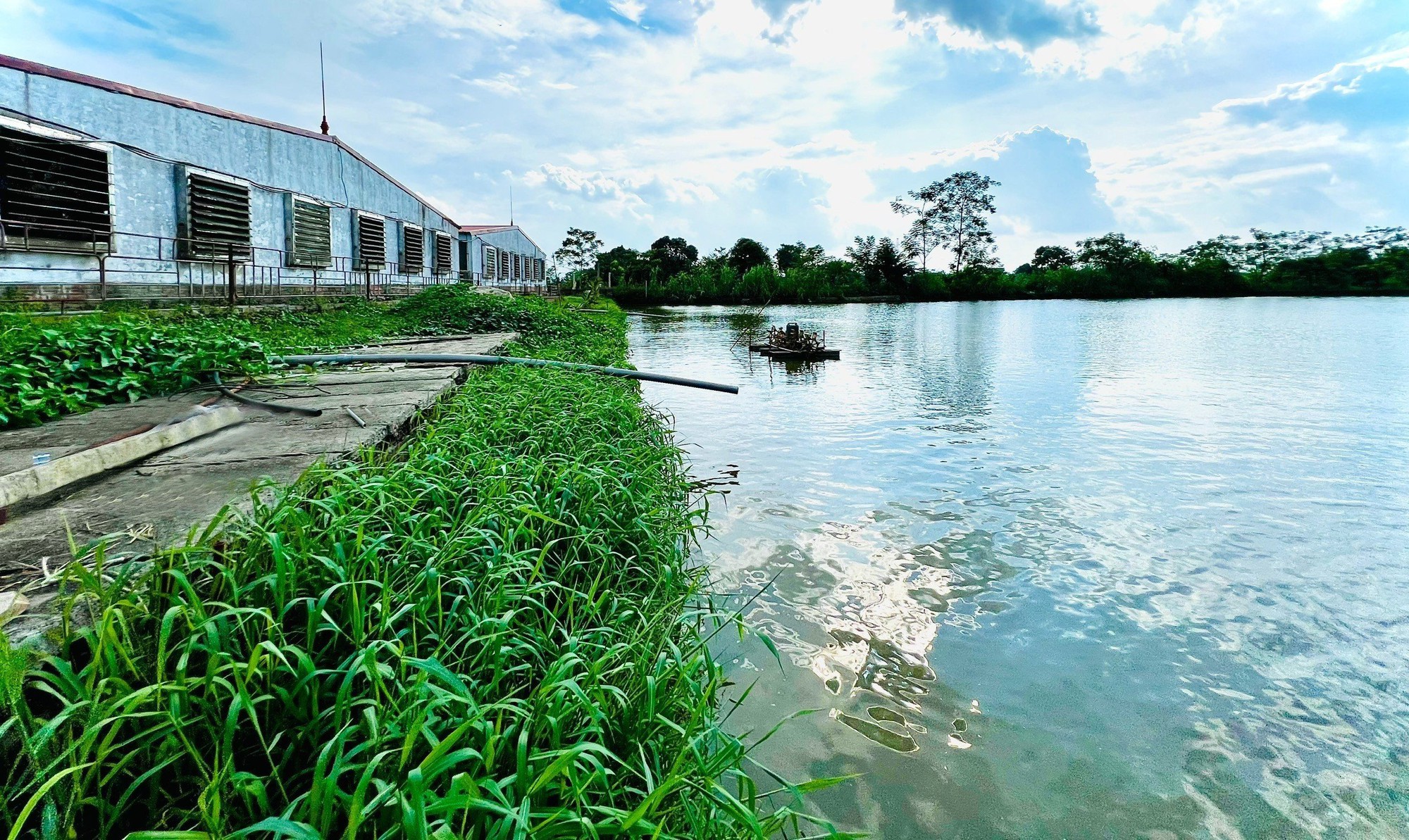 Lão nông đất Tổ nuôi lợn an toàn sinh học thu hơn 20 tỷ/năm là Nông dân Việt Nam xuất sắc 2023 - Ảnh 2.