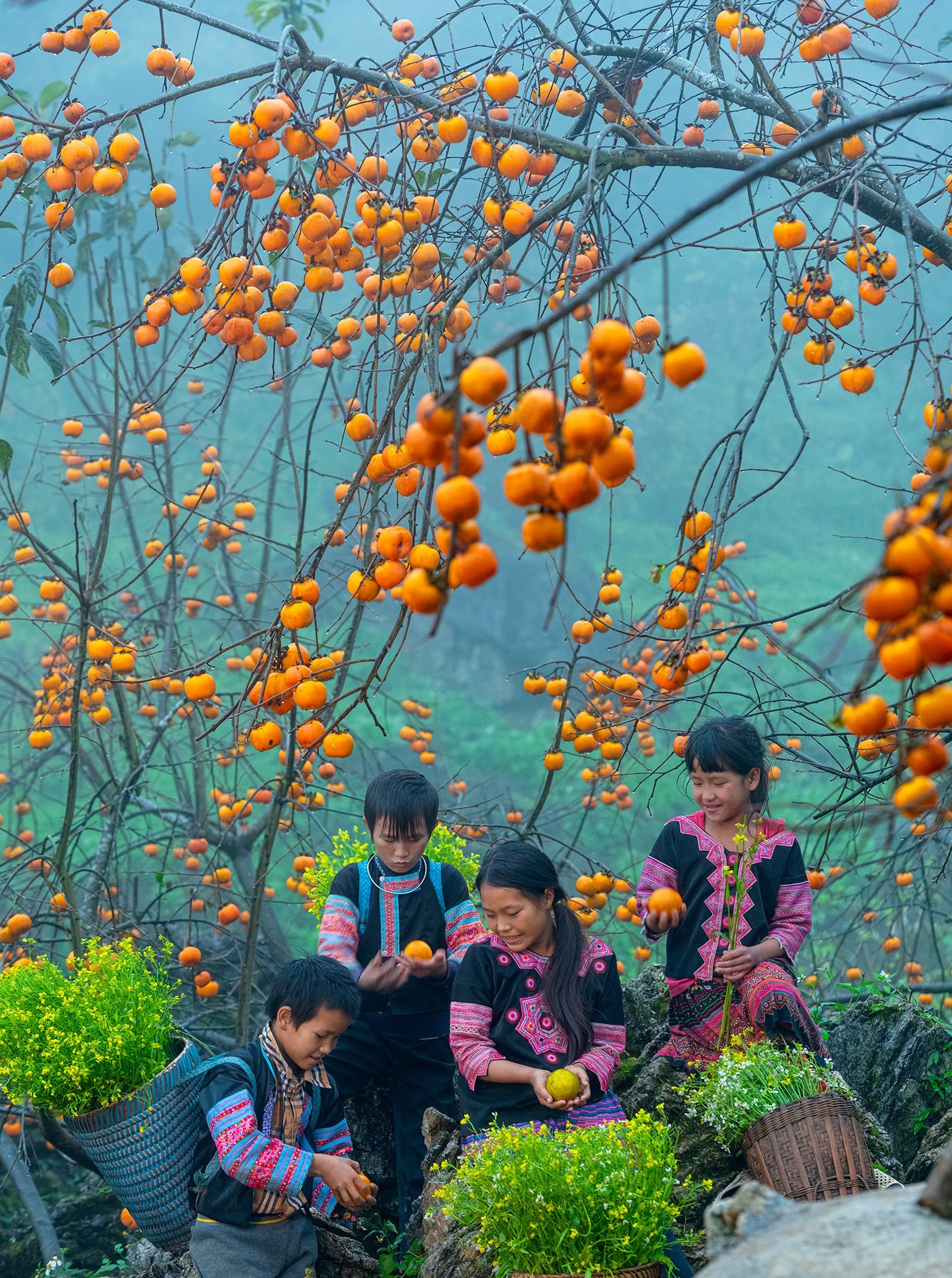 Lạc vào vườn hồng sai trĩu quả &quot;nhuộm&quot; vàng mùa thu Mộc Châu - Ảnh 5.