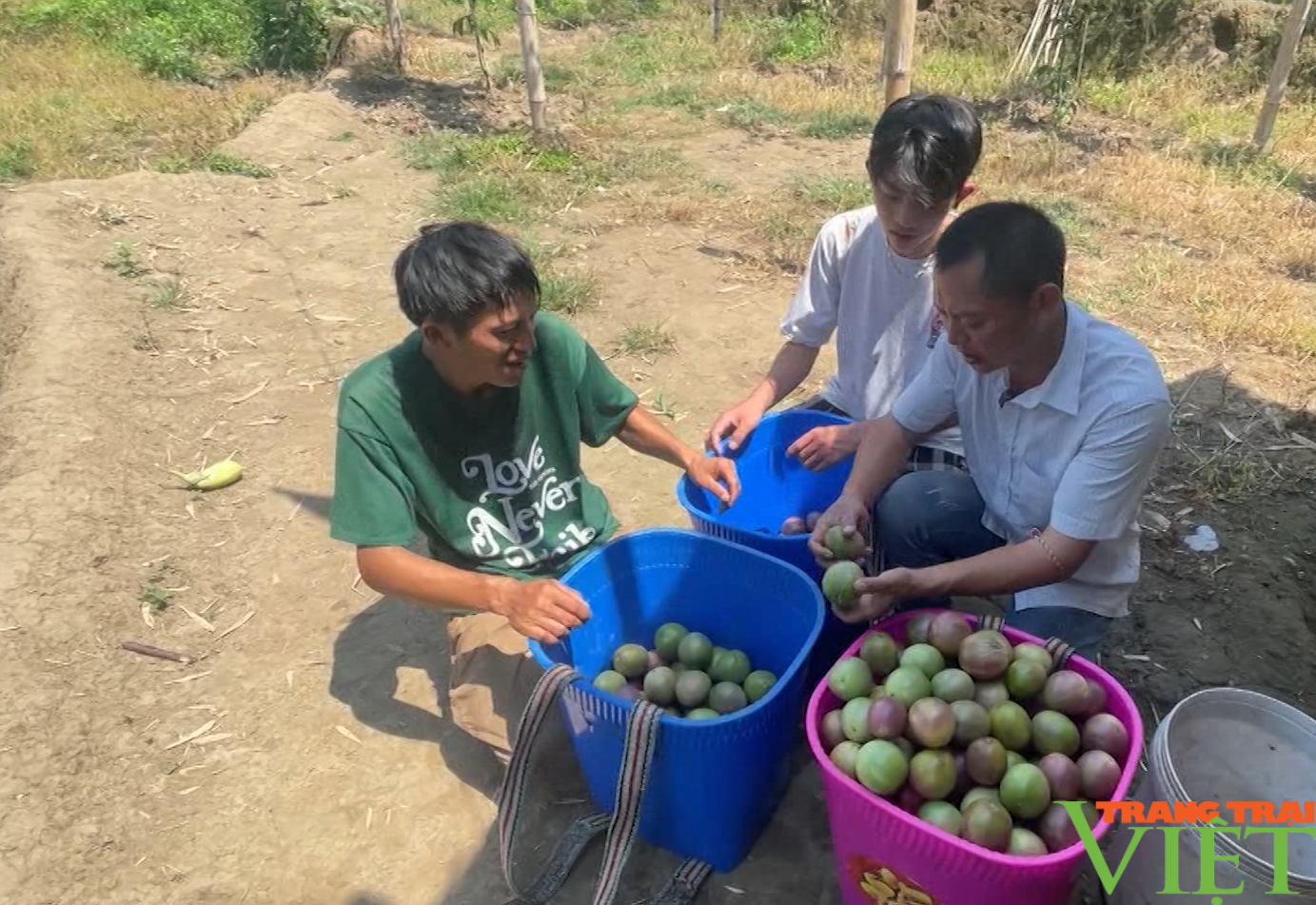 Đòn bẩy giúp nông dân huyện Phong Thổ của Lai Châu giảm nghèo bền vững - Ảnh 4.
