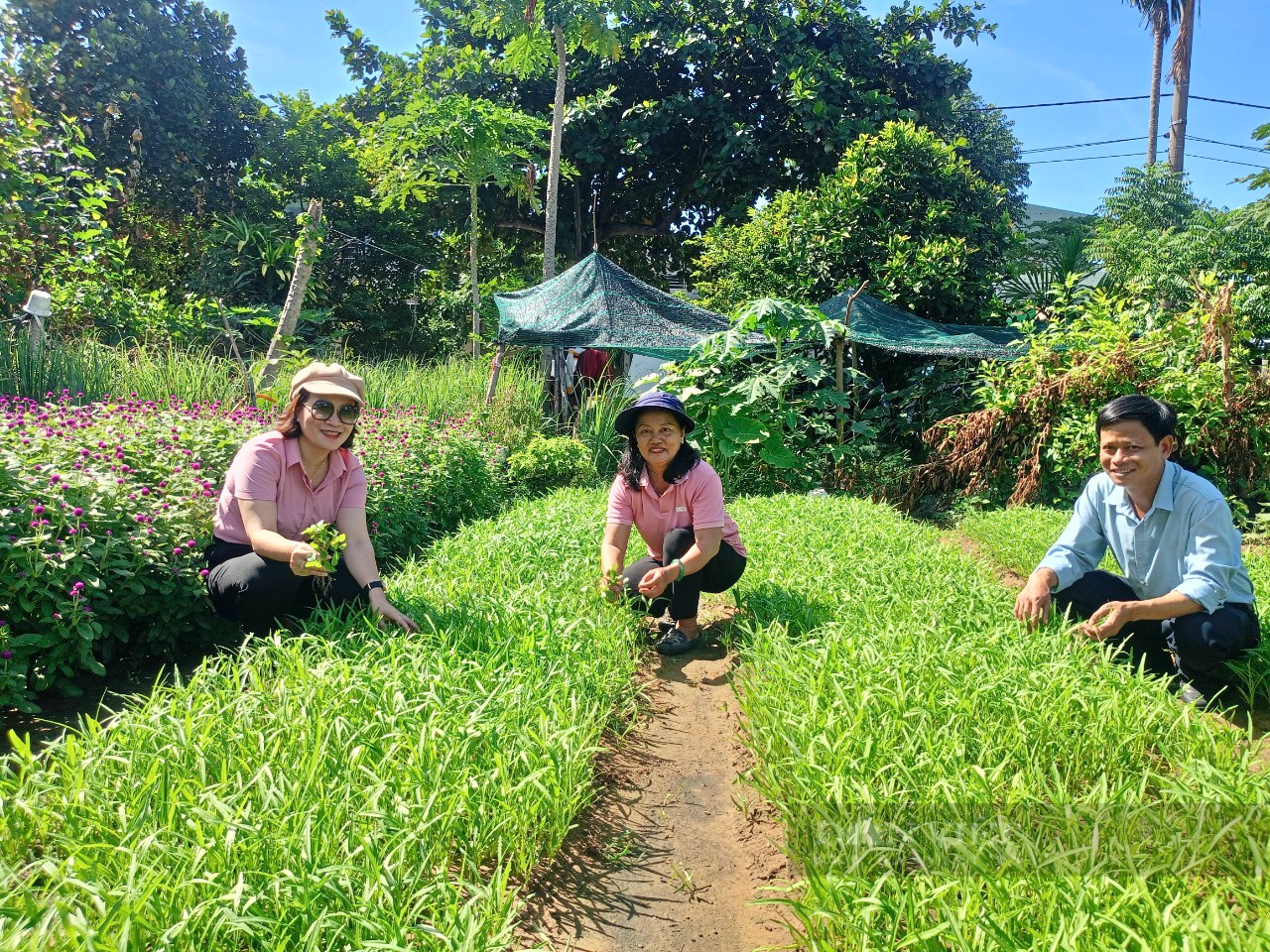 Hội Nông dân Cẩm Lệ - Đà Nẵng tiếp sức cho hội viên phát triển nông nghiệp đô thị - Ảnh 2.