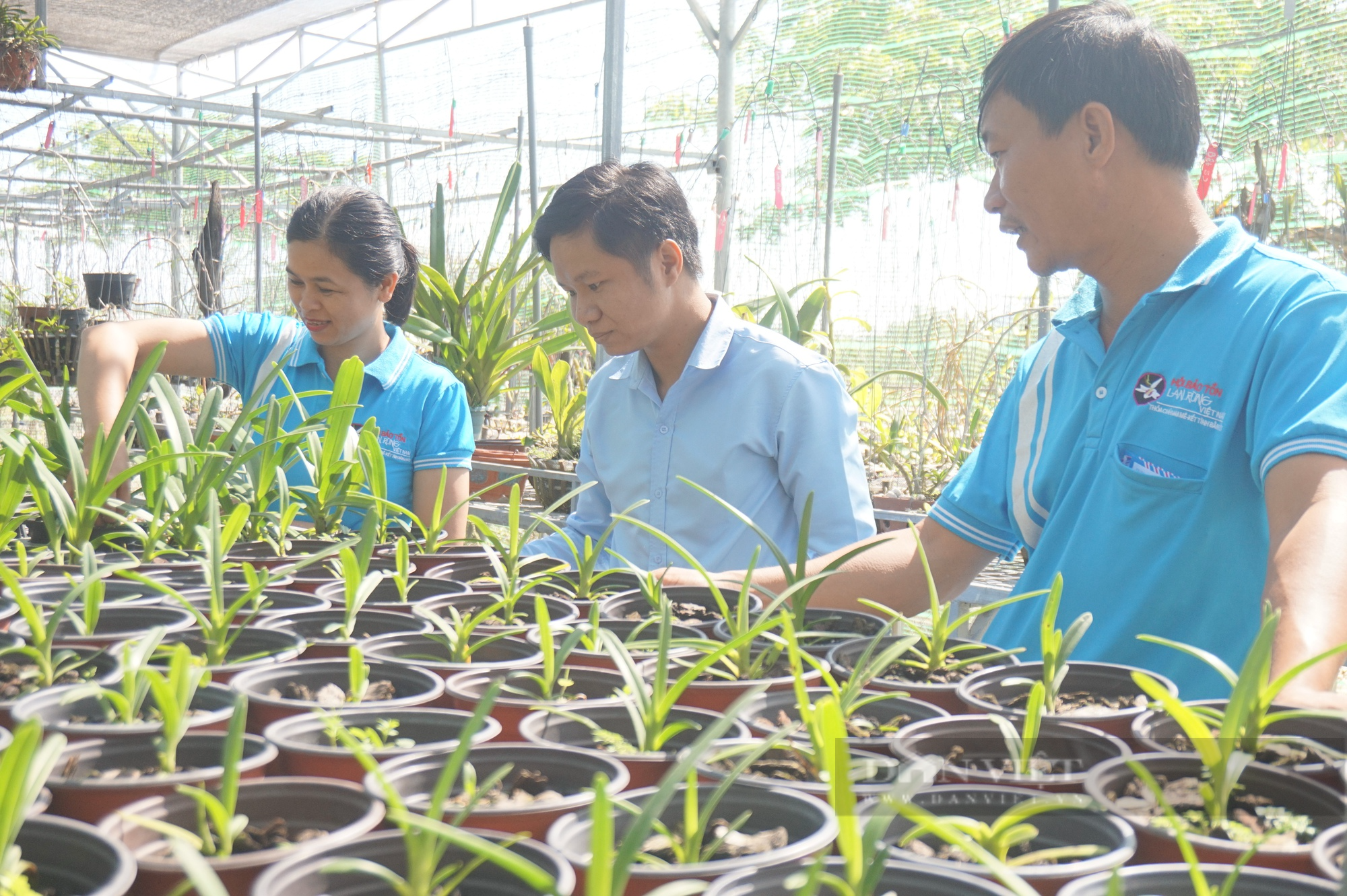 Hội Nông dân Cẩm Lệ - Đà Nẵng tiếp sức cho hội viên phát triển nông nghiệp đô thị - Ảnh 5.