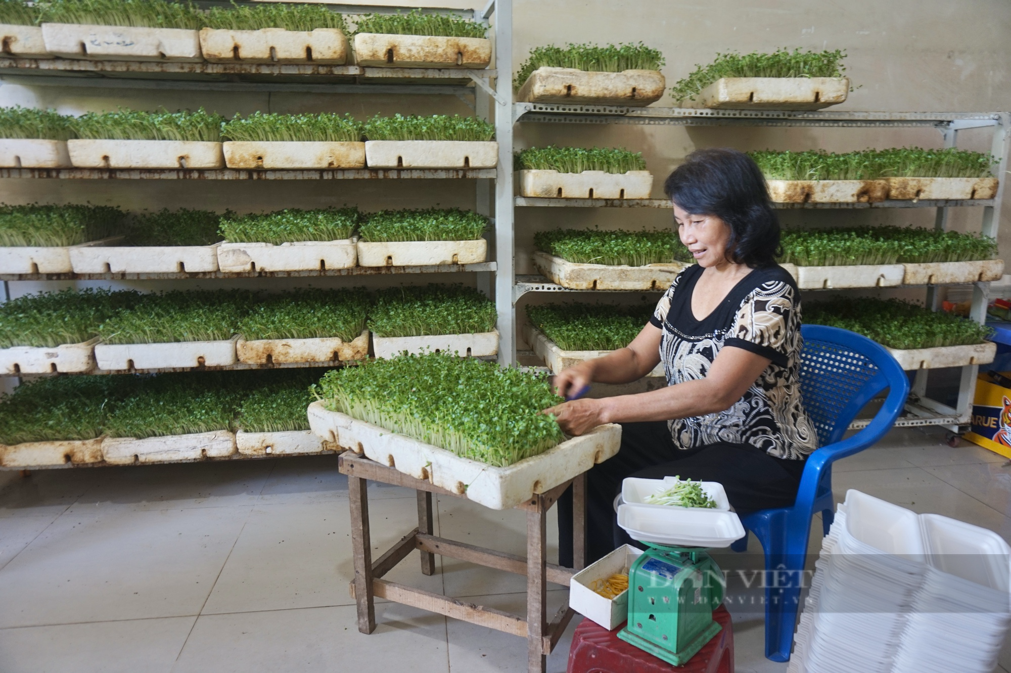 Hội Nông dân Cẩm Lệ - Đà Nẵng tiếp sức cho hội viên phát triển nông nghiệp đô thị - Ảnh 6.
