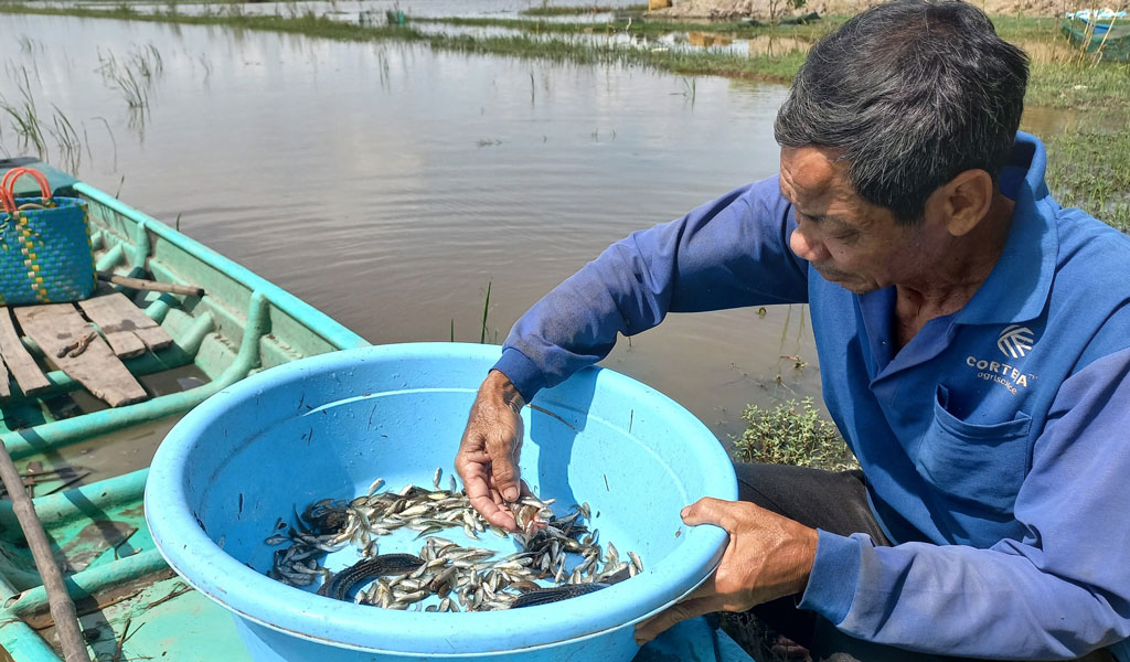 Chuyện lạ có thật: Ở nơi người dân lúc nào cũng mong ngóng lũ về, thế nhưng năm nay, lũ về trễ và thấp - Ảnh 5.