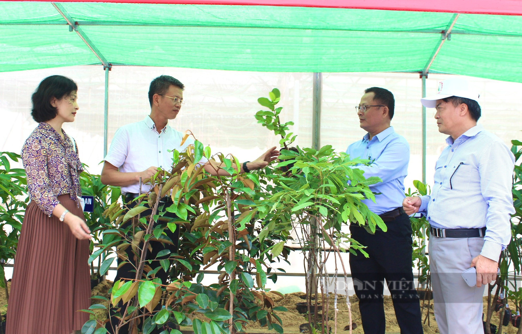 Hội Nông dân Quảng Bình khai trương Điểm cung ứng cây trồng chất lượng, năng suất cho nông dân - Ảnh 1.