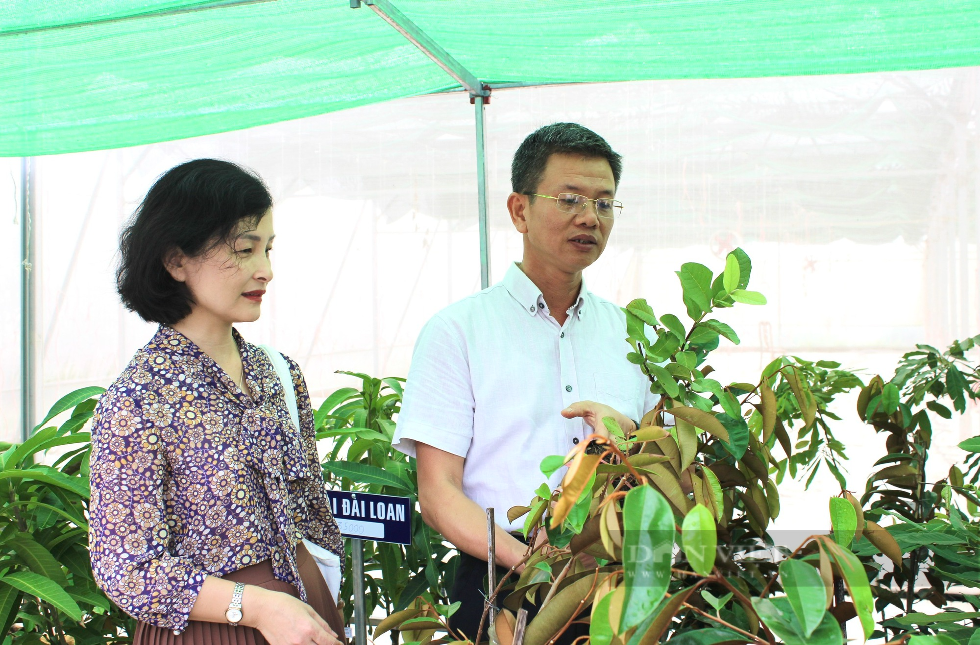 Hội Nông dân Quảng Bình khai trương Điểm cung ứng cây trồng chất lượng, năng suất cho nông dân - Ảnh 3.