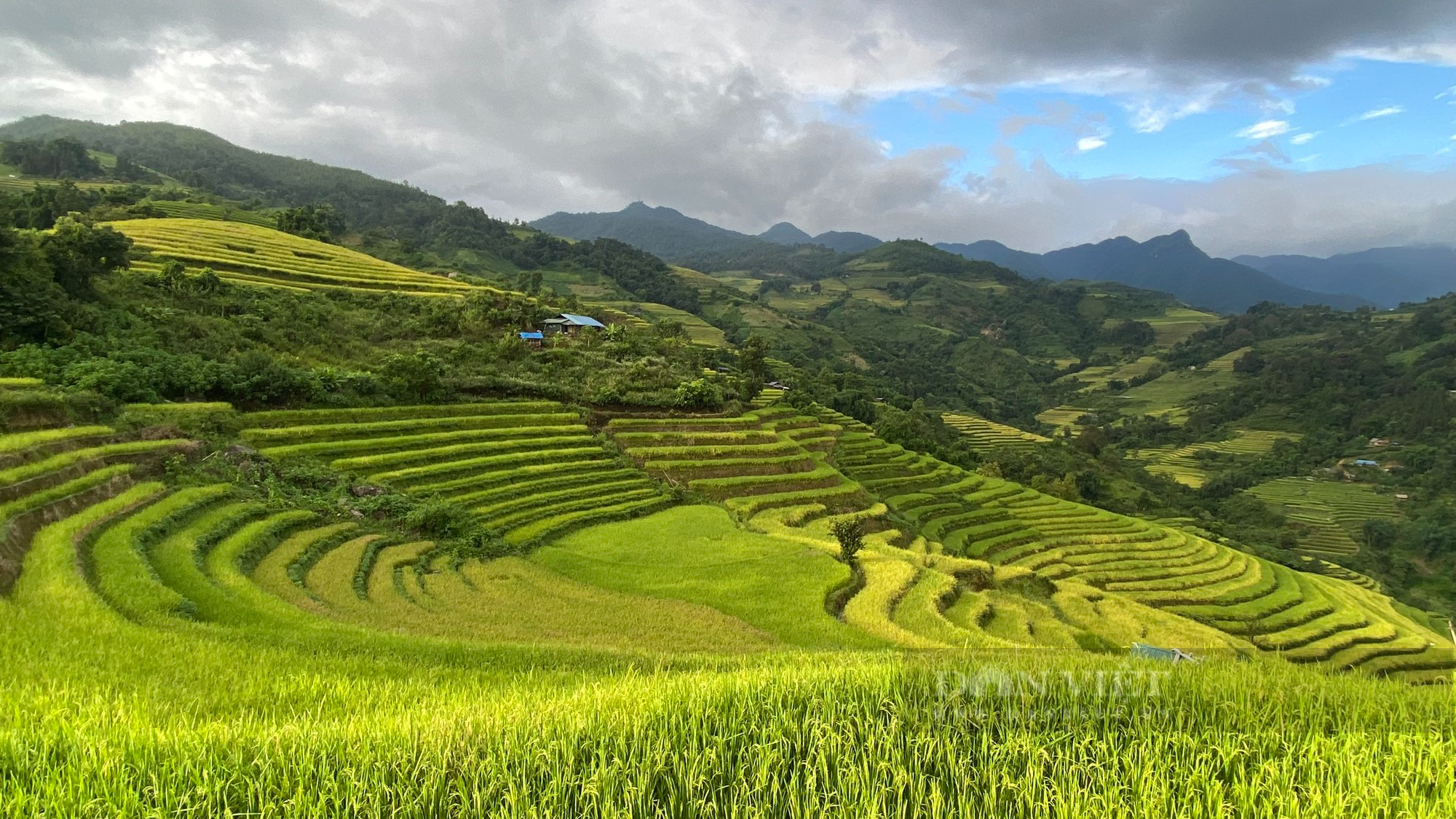 Mê mẩn khu ruộng bậc thang đẹp như tranh ở Dào San, Lai Châu - Ảnh 5.