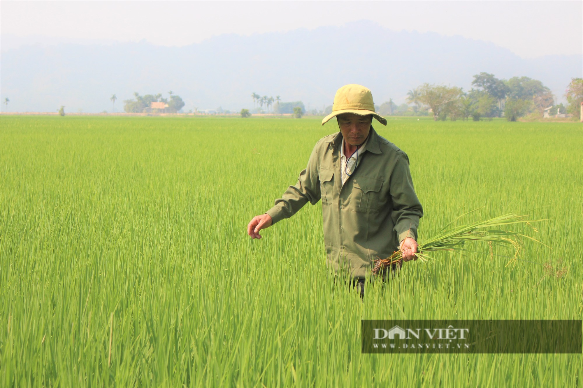 Phó Chủ tịch Hội NDVN: Cần có bước đi phù hợp để Đắk Lắk là nơi đáng sống - Ảnh 2.