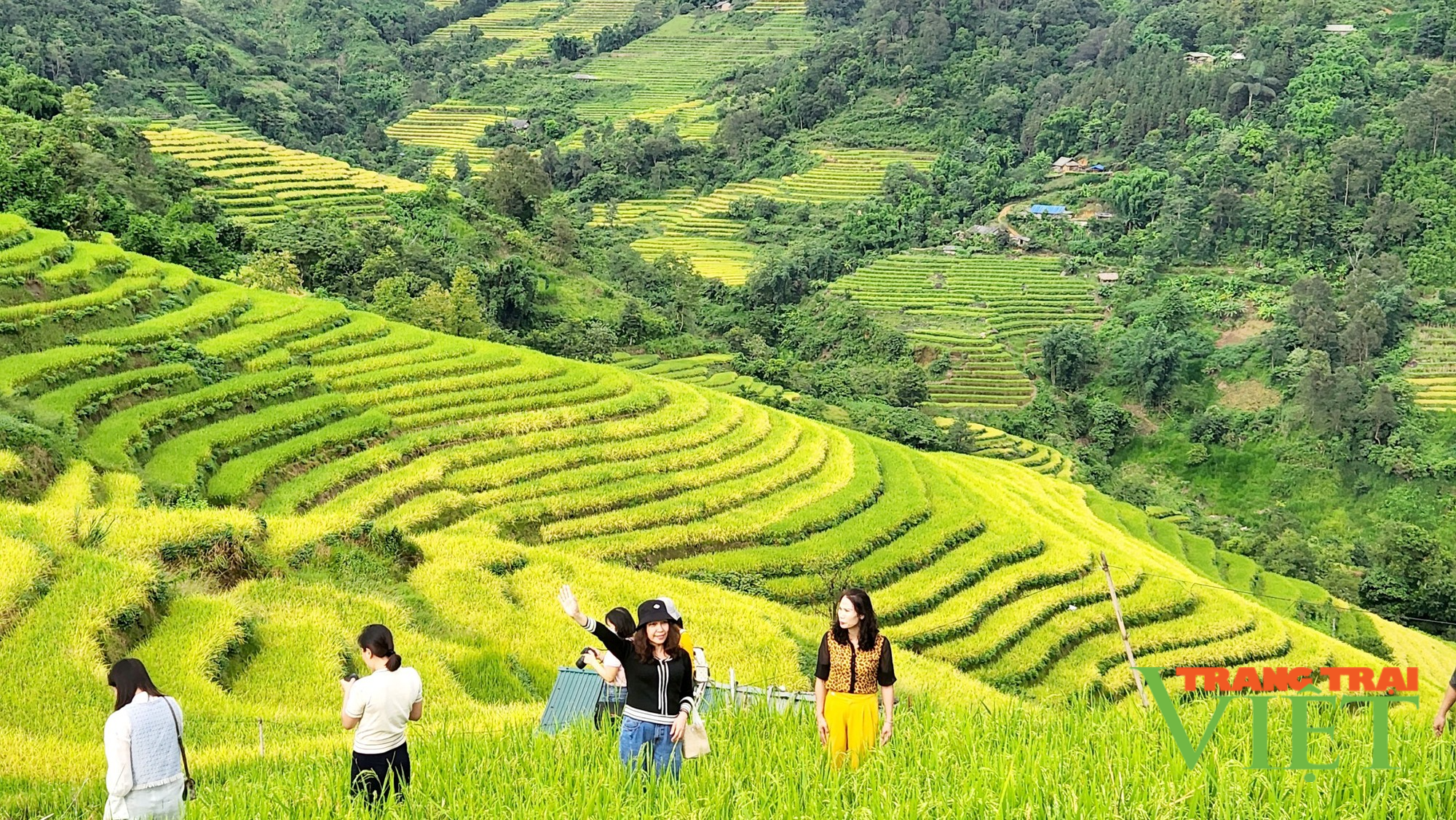 Khảo sát thực tế sản phẩm du lịch “Hùng vĩ Tây Bắc” - Ảnh 1.