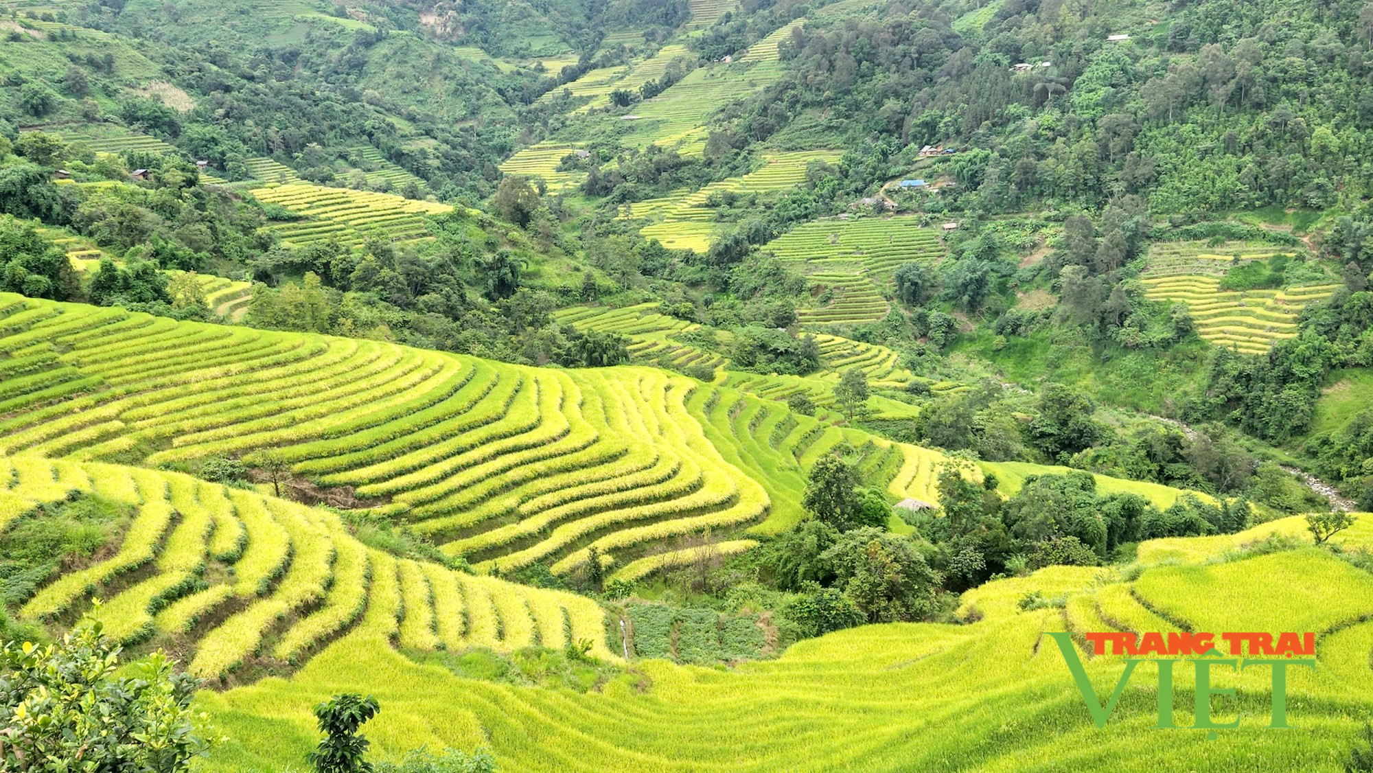 Khảo sát thực tế sản phẩm du lịch “Hùng vĩ Tây Bắc” - Ảnh 3.