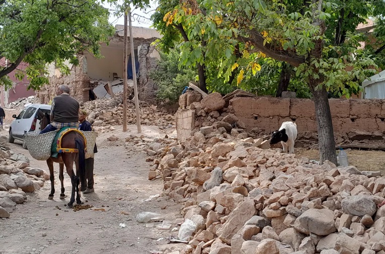 Những &quot;anh hùng 4 chân&quot; khắc phục hậu quả động đất khiến gần 3.000 người chết  tại Maroc - Ảnh 10.