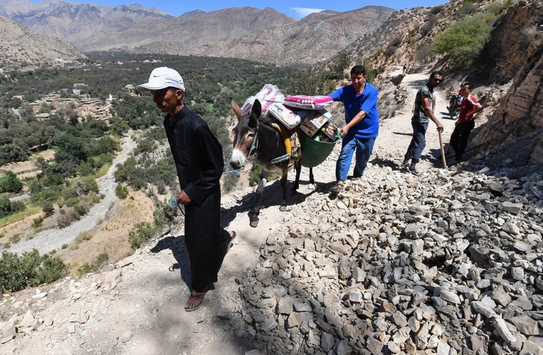 Những &quot;anh hùng 4 chân&quot; khắc phục hậu quả động đất khiến gần 3.000 người chết  tại Maroc - Ảnh 4.