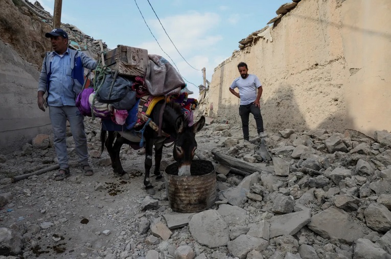 Những &quot;anh hùng 4 chân&quot; khắc phục hậu quả động đất khiến gần 3.000 người chết  tại Maroc - Ảnh 9.